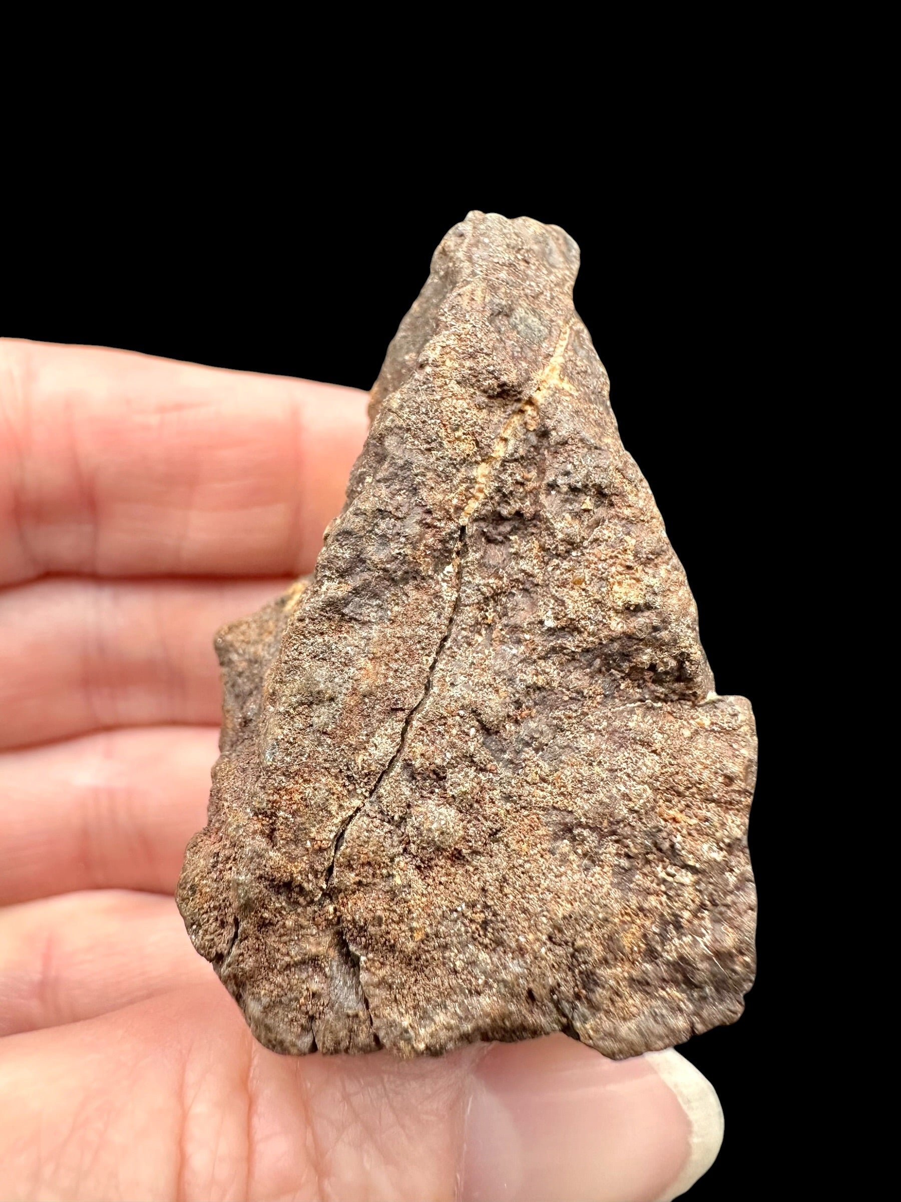 Meteorite NWA X – 72,7g – Northwest Africa - MENX37