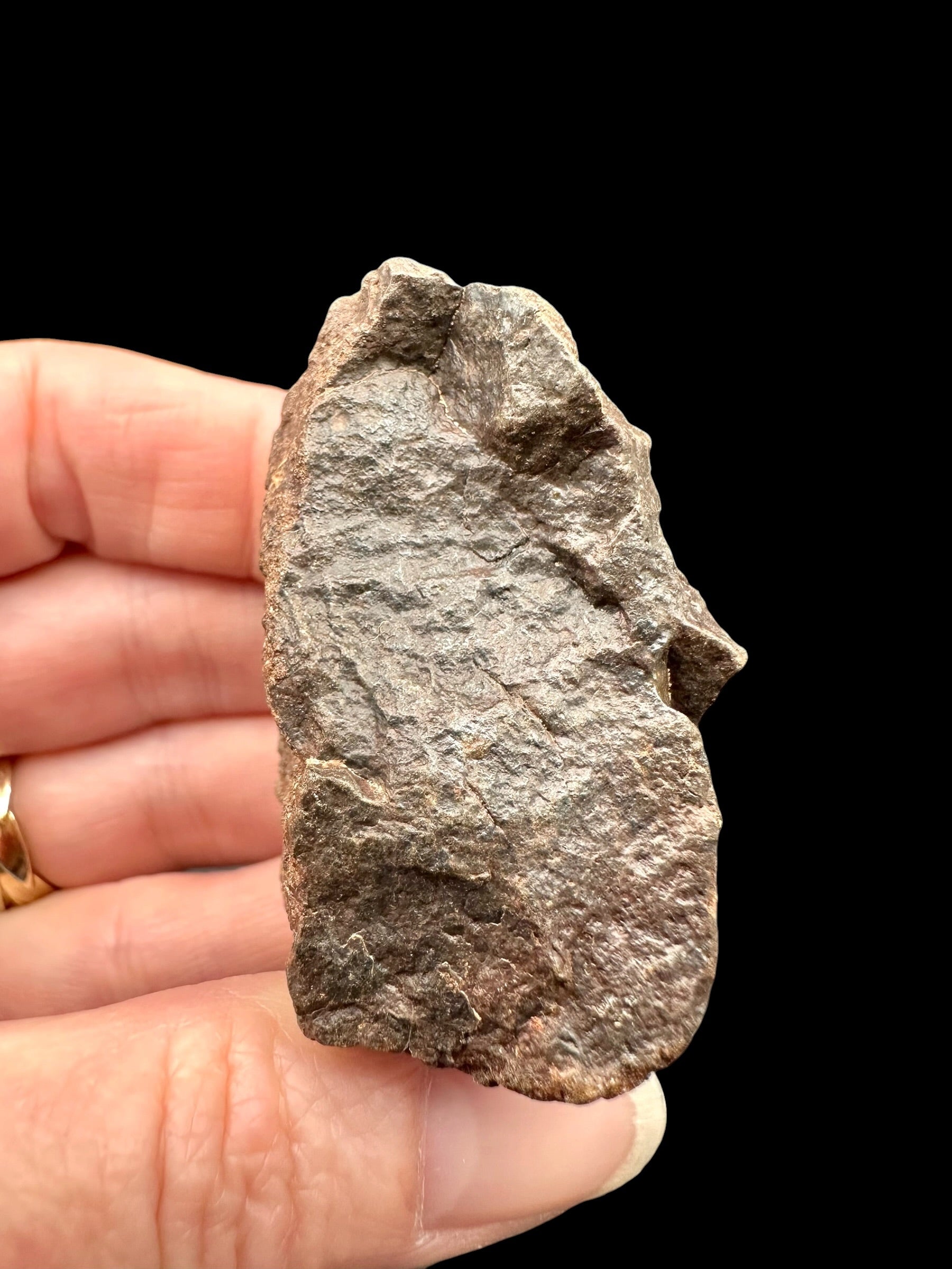 Meteorite NWA X – 72,7g – Northwest Africa - MENX37