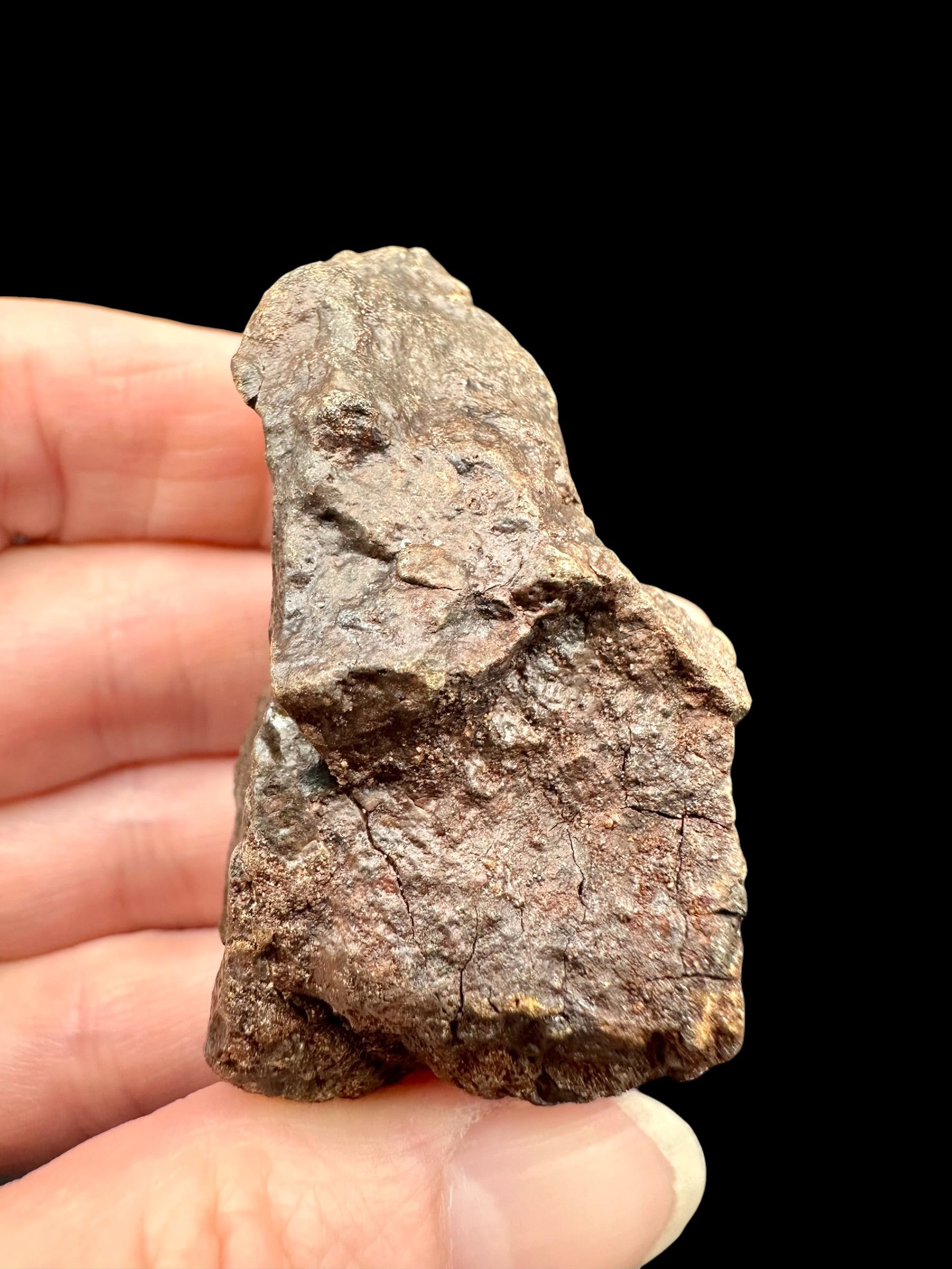 Meteorite NWA X – 72,7g – Northwest Africa