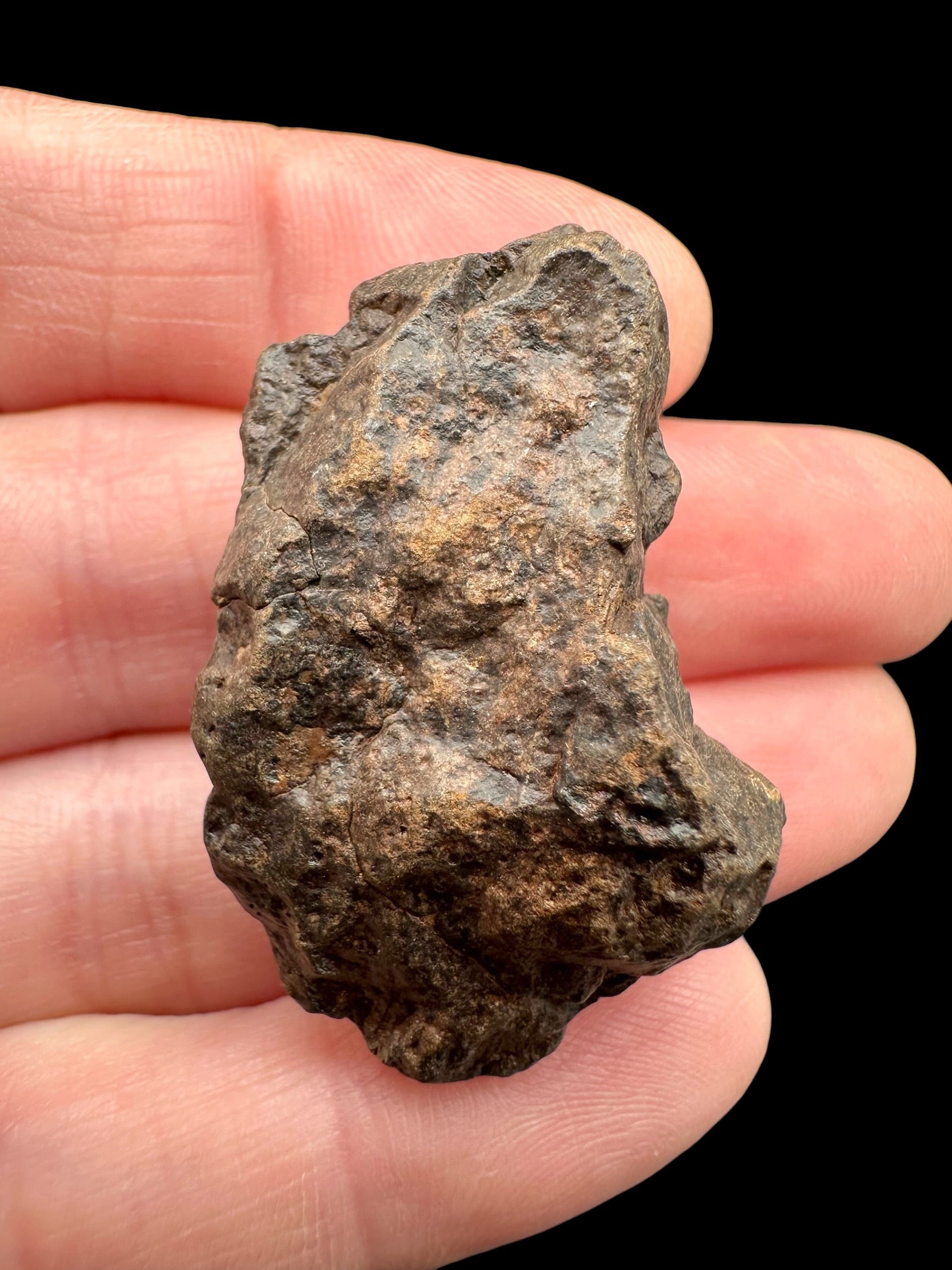 Meteorite NWA X – 15,3g – Northwest Africa - MENX38