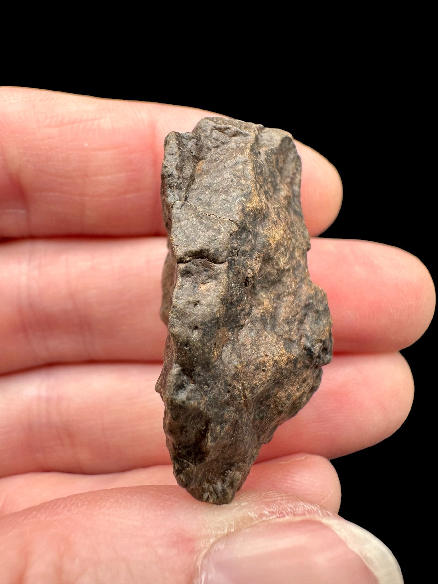 Meteorite NWA X – 15,3g – Northwest Africa - MENX38