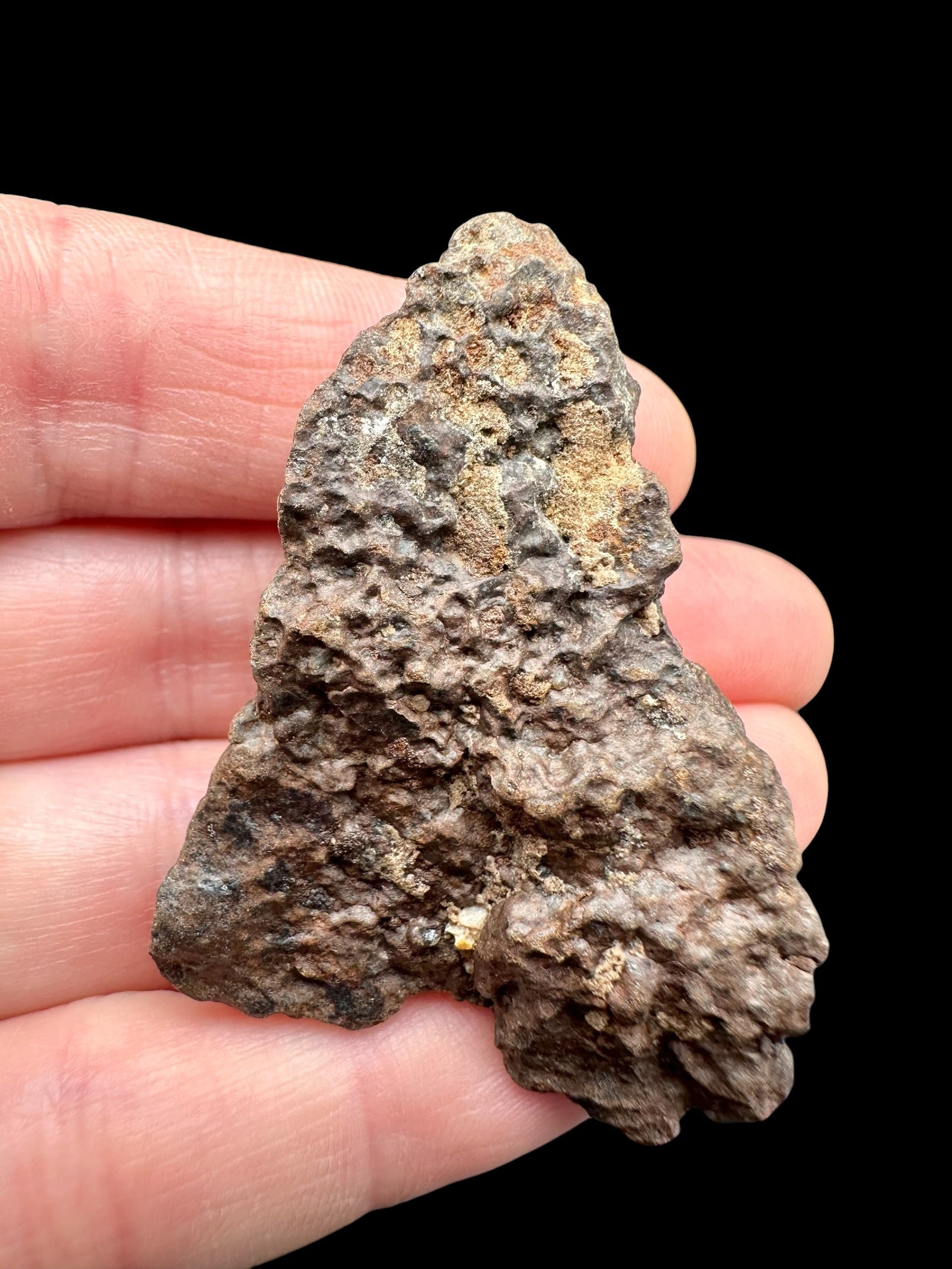 Meteorite NWA X – 27,8g – Northwest Africa - MENX42