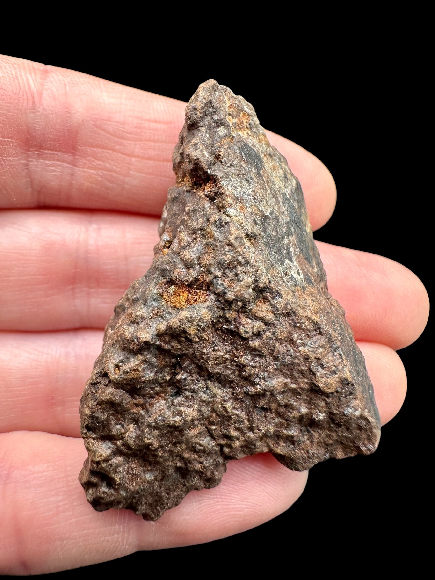 Meteorite NWA X – 27,8g – Northwest Africa