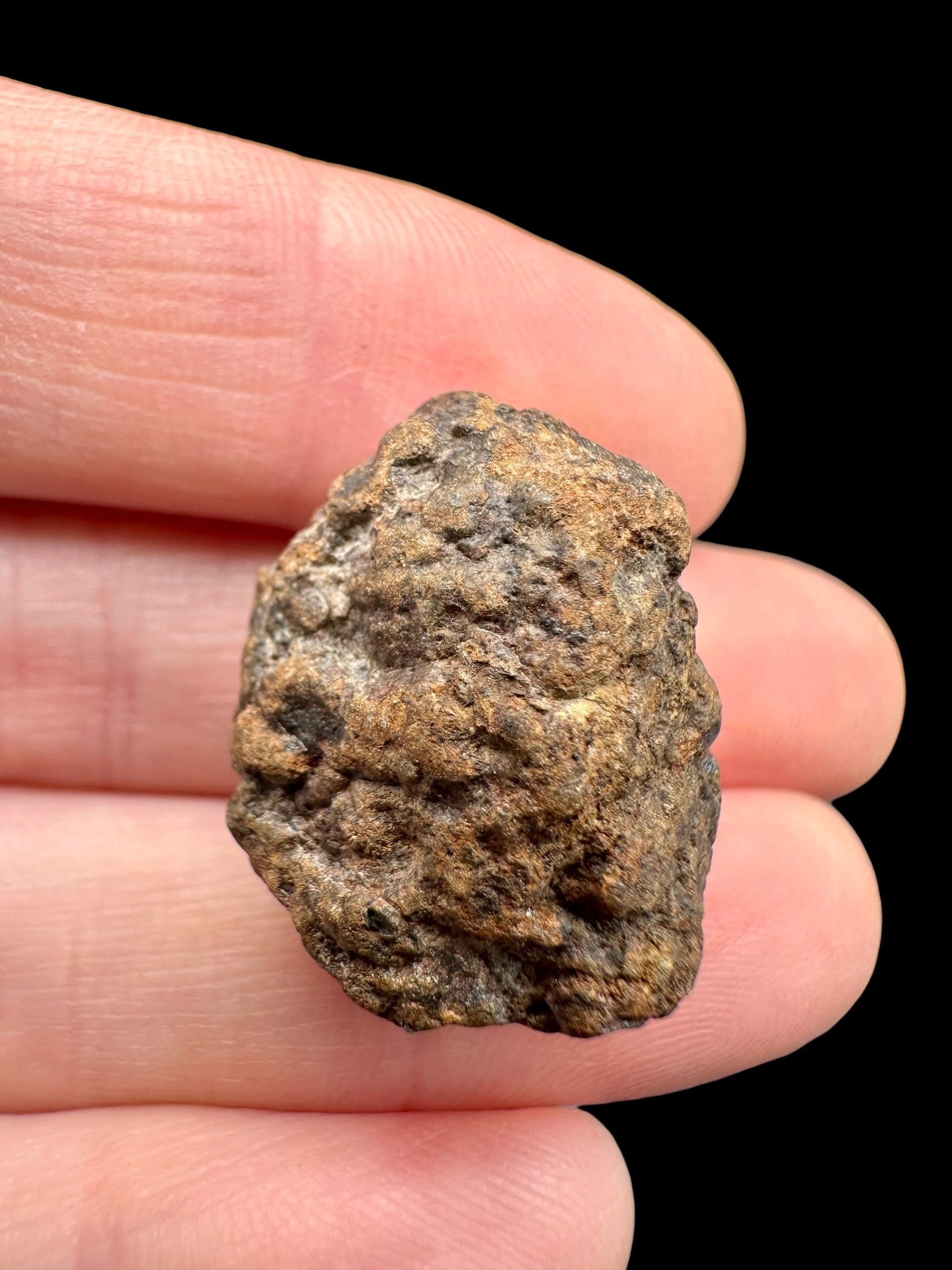 Meteorite NWA X – 9g – Northwest Africa - MENX43