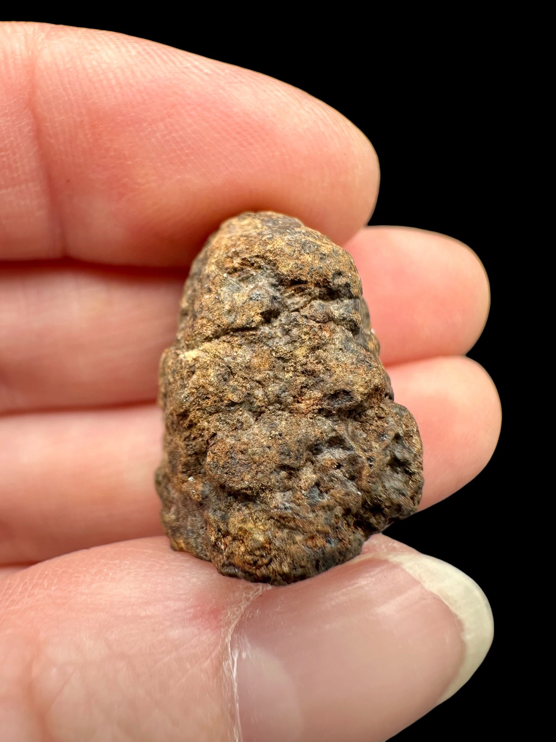 Meteorite NWA X – 9g – Northwest Africa - MENX43