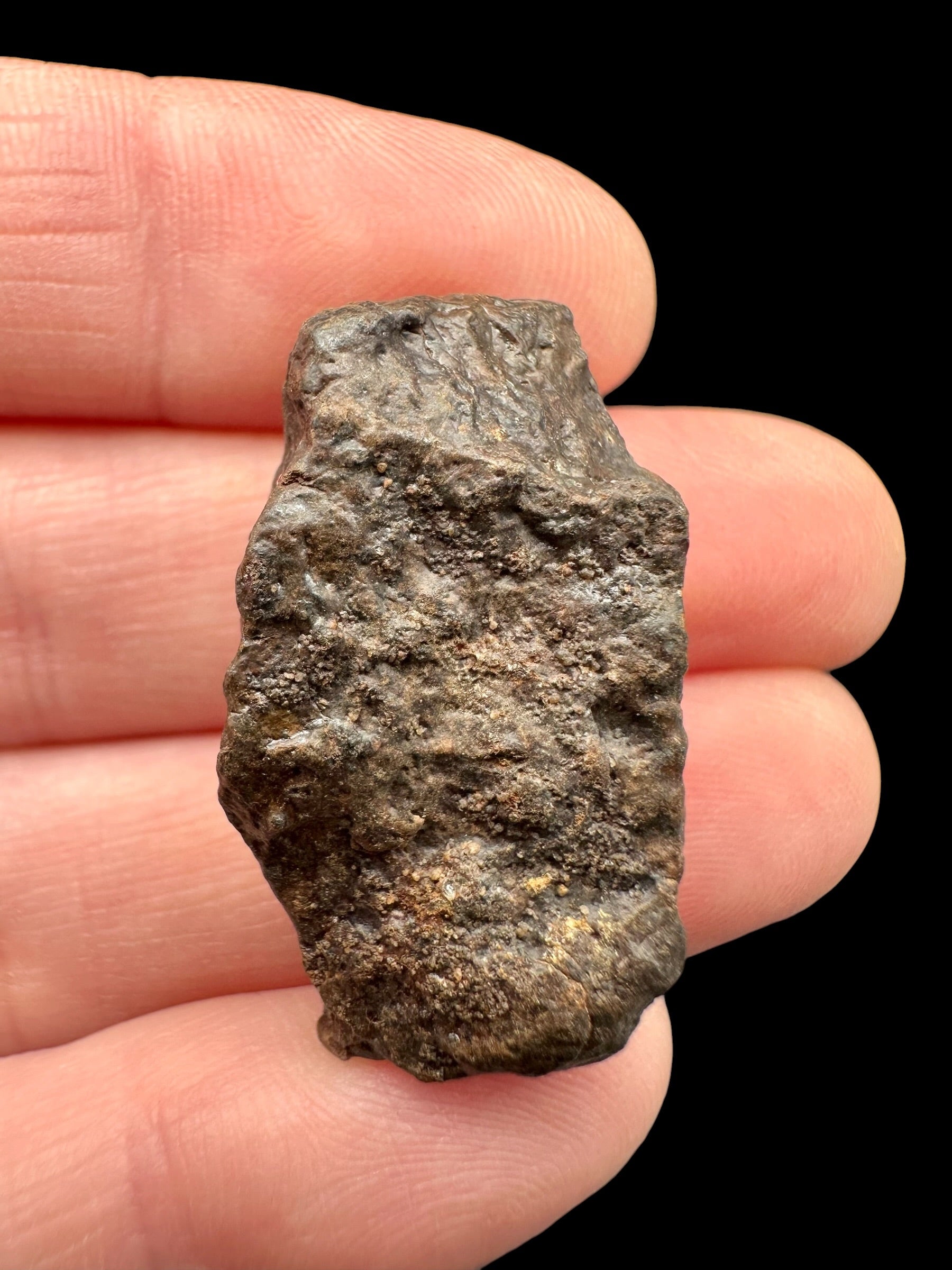 Meteorite NWA X – 9,1g – Northwest Africa - MENX45