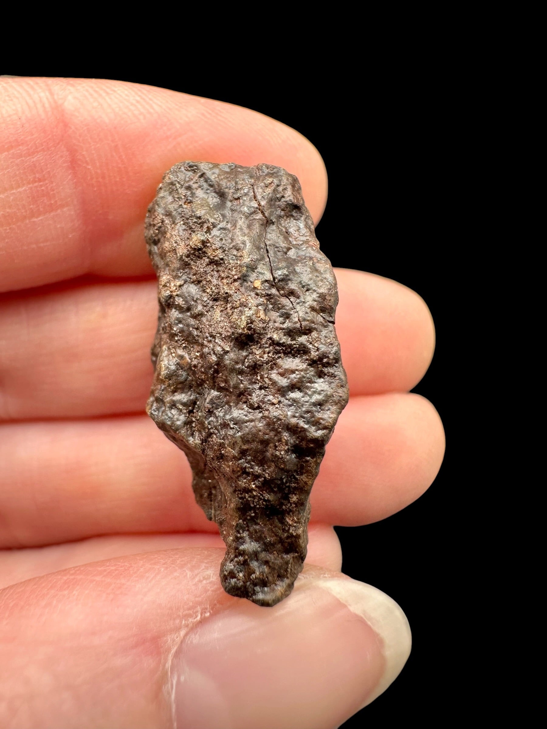 Meteorite NWA X – 9,1g – Northwest Africa - MENX45