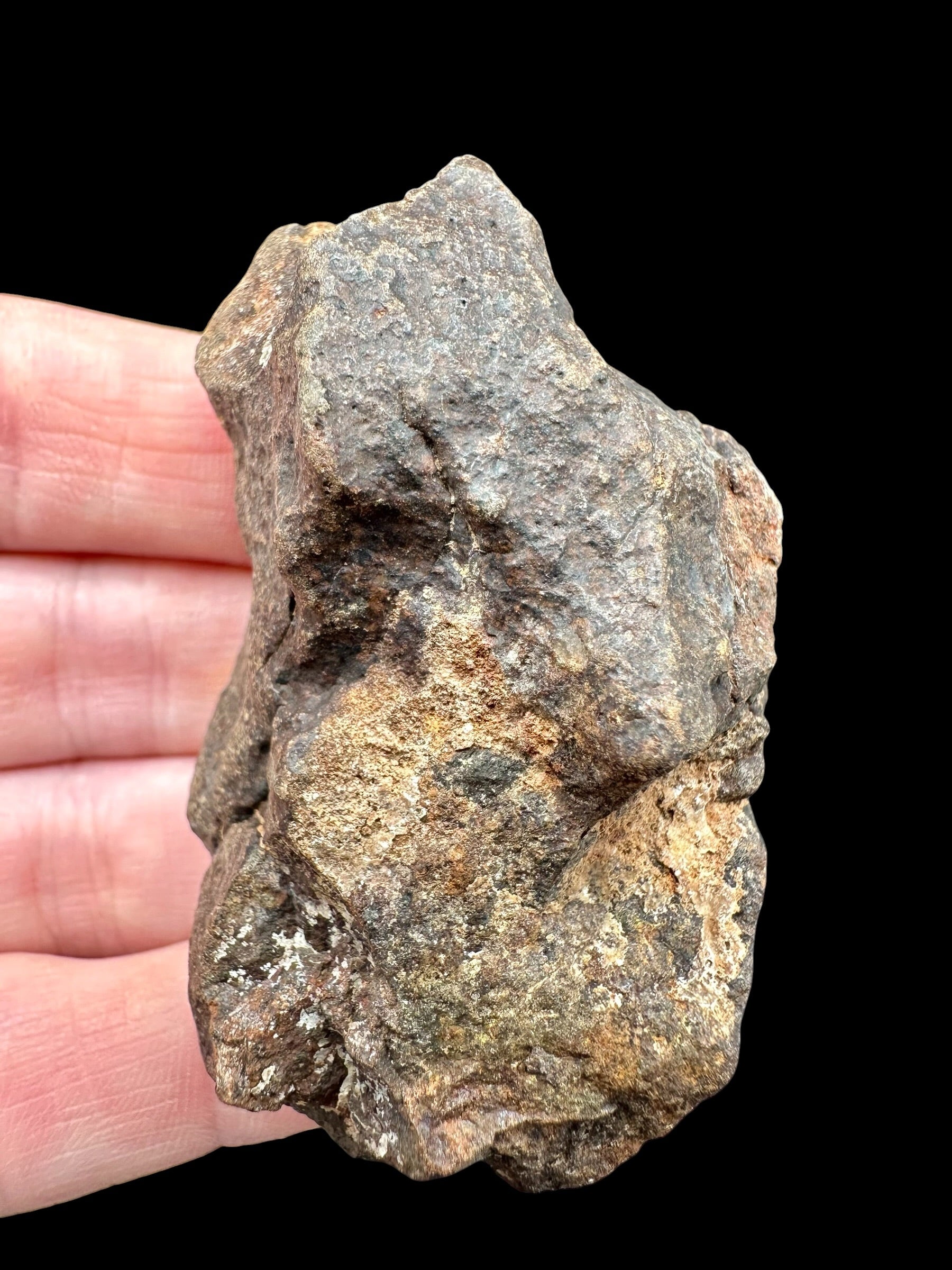 Meteorite NWA X – 78g – Northwest Africa - MENX49