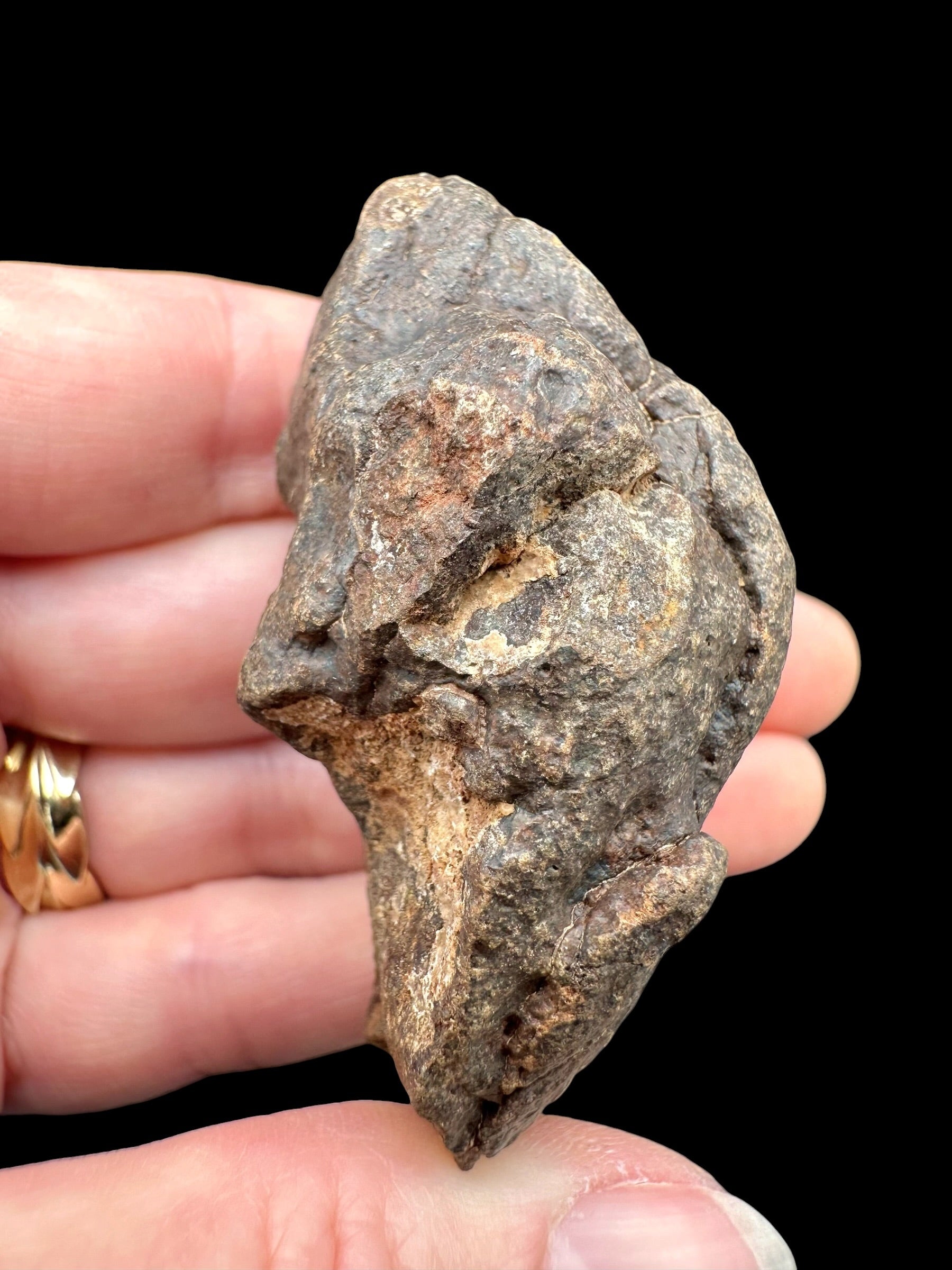 Meteorite NWA X – 78g – Northwest Africa - MENX49