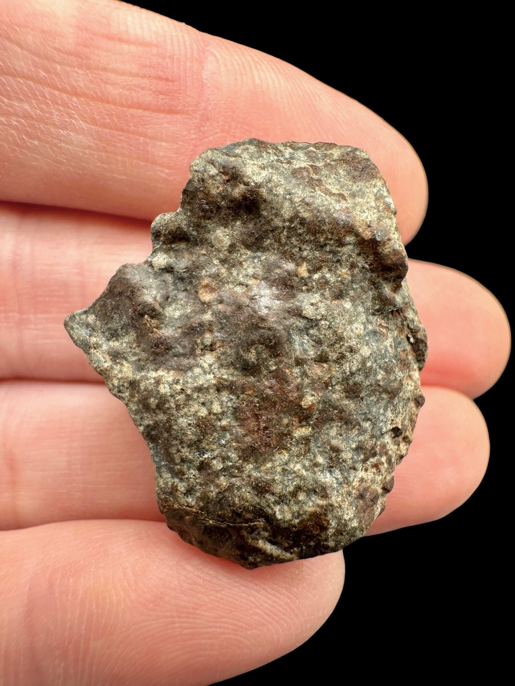 Meteorite NWA X – 12,8g – Northwest Africa - MENX50
