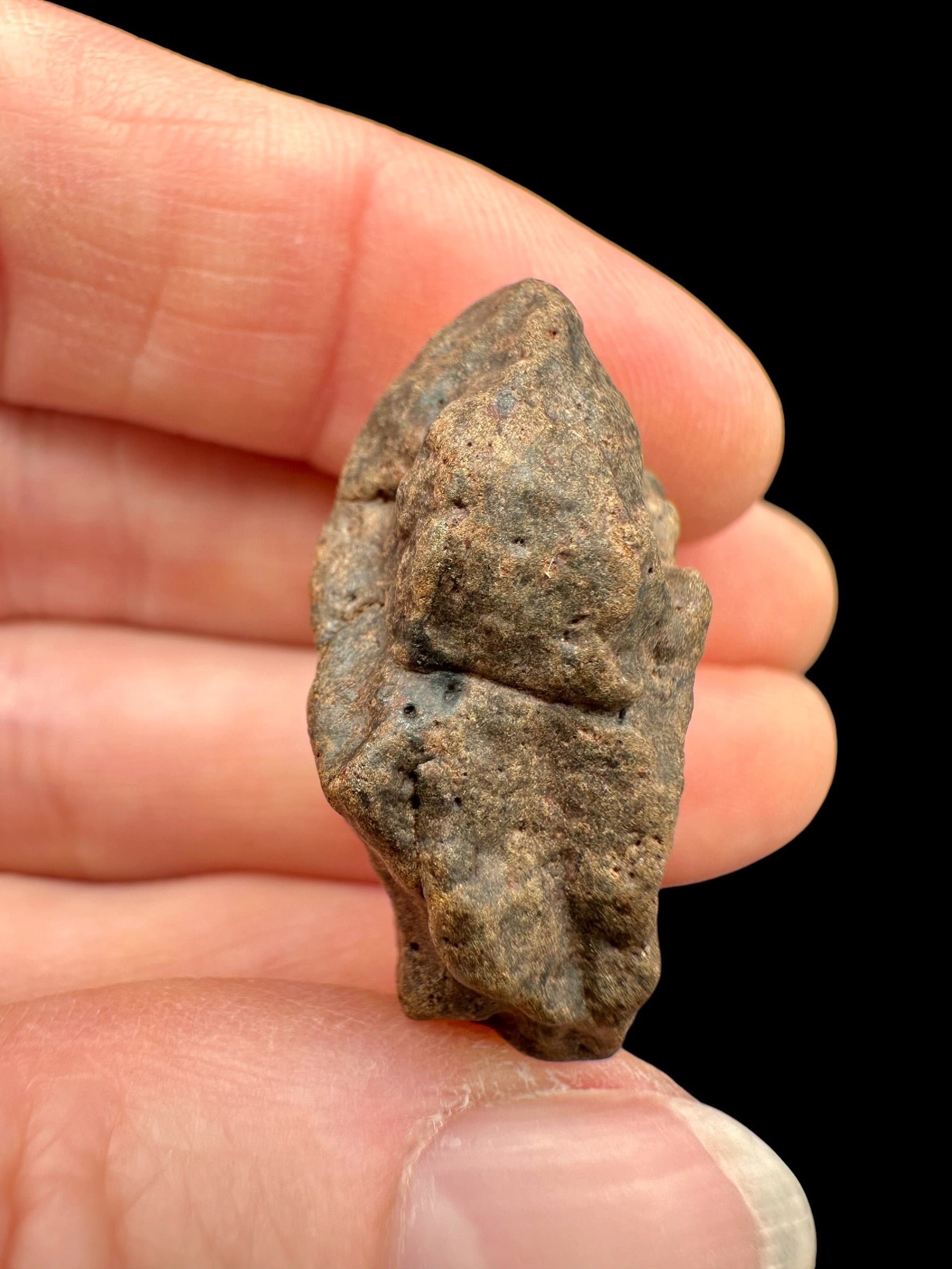 Meteorite NWA X – 12,6g – Northwest Africa - MENX53