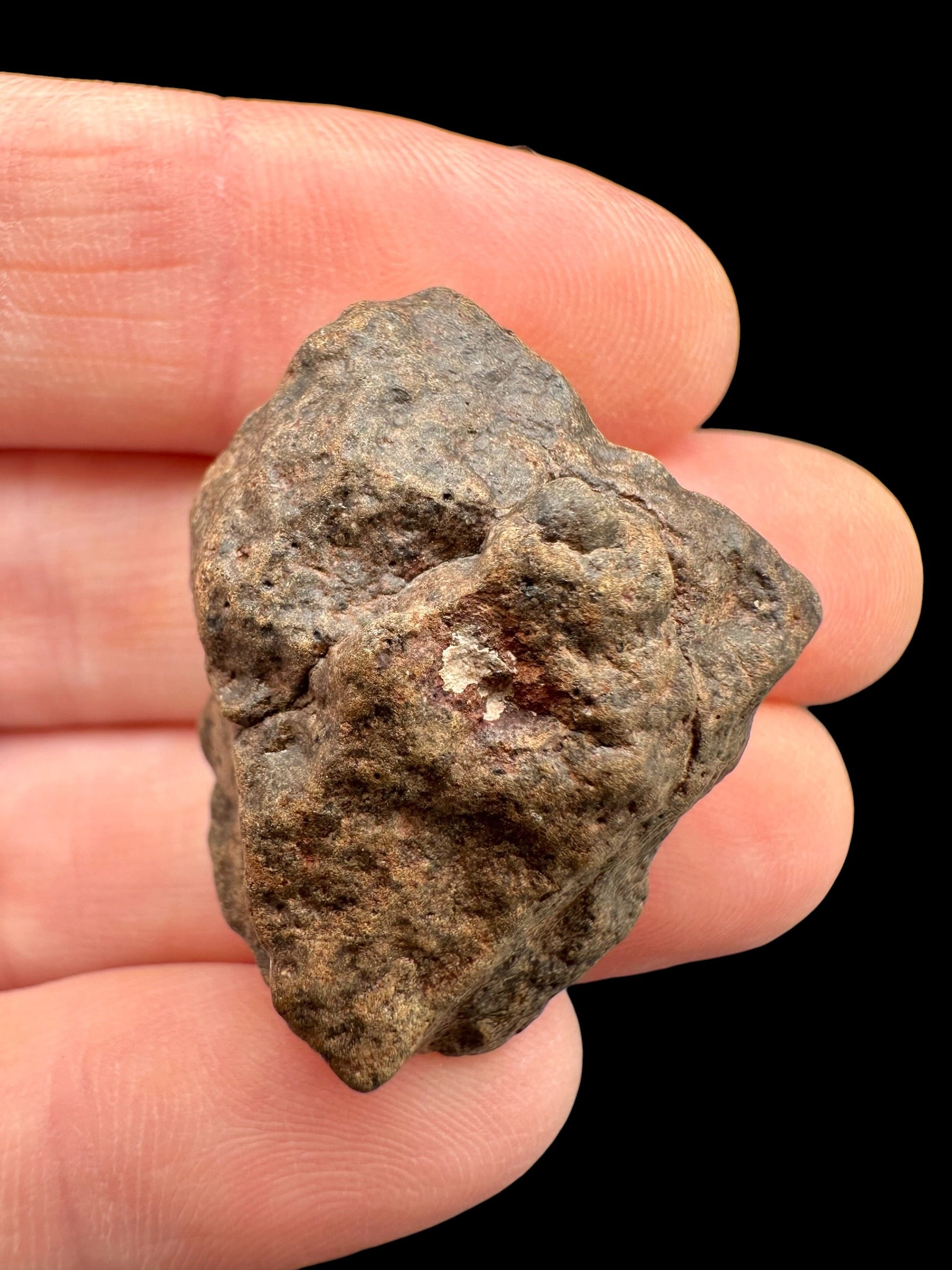 Meteorite NWA X – 12,6g – Northwest Africa