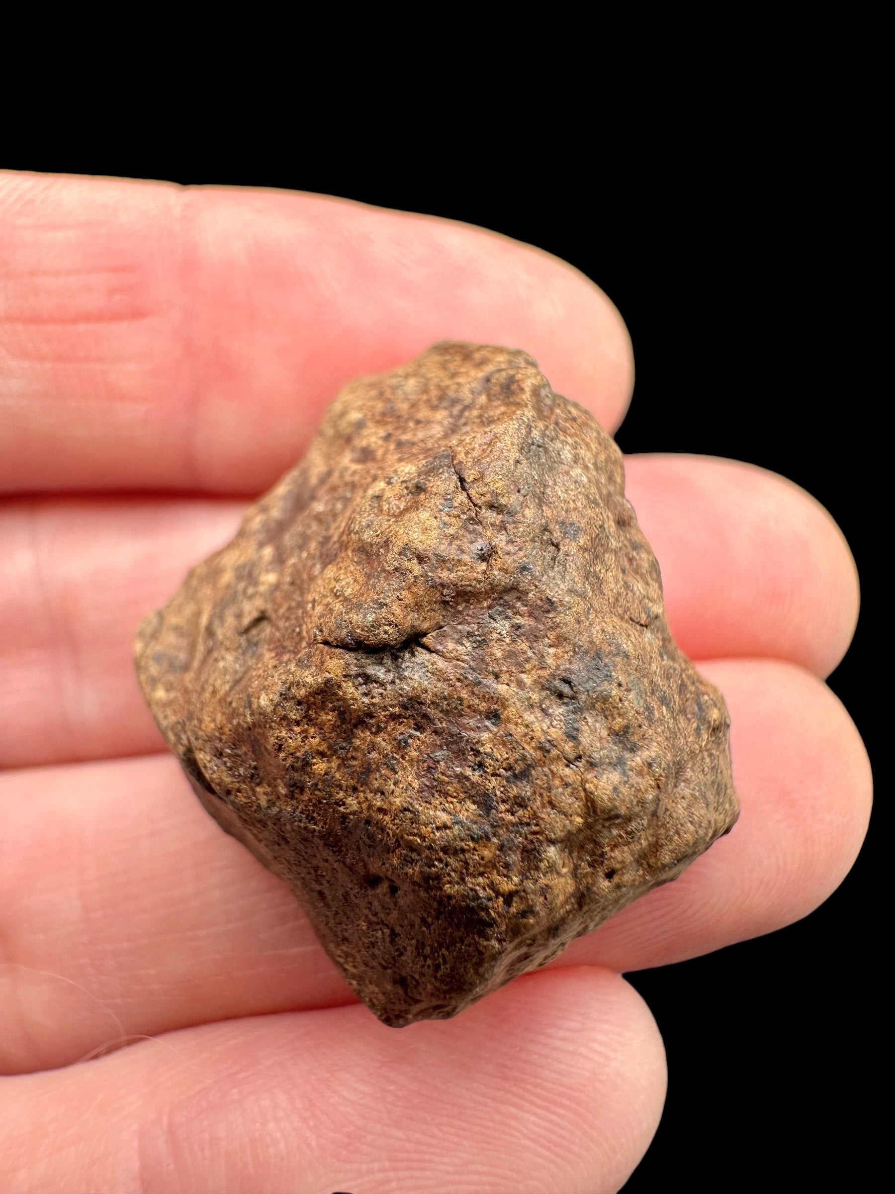 Meteorite NWA X – 13,7g – Northwest Africa - MENX54
