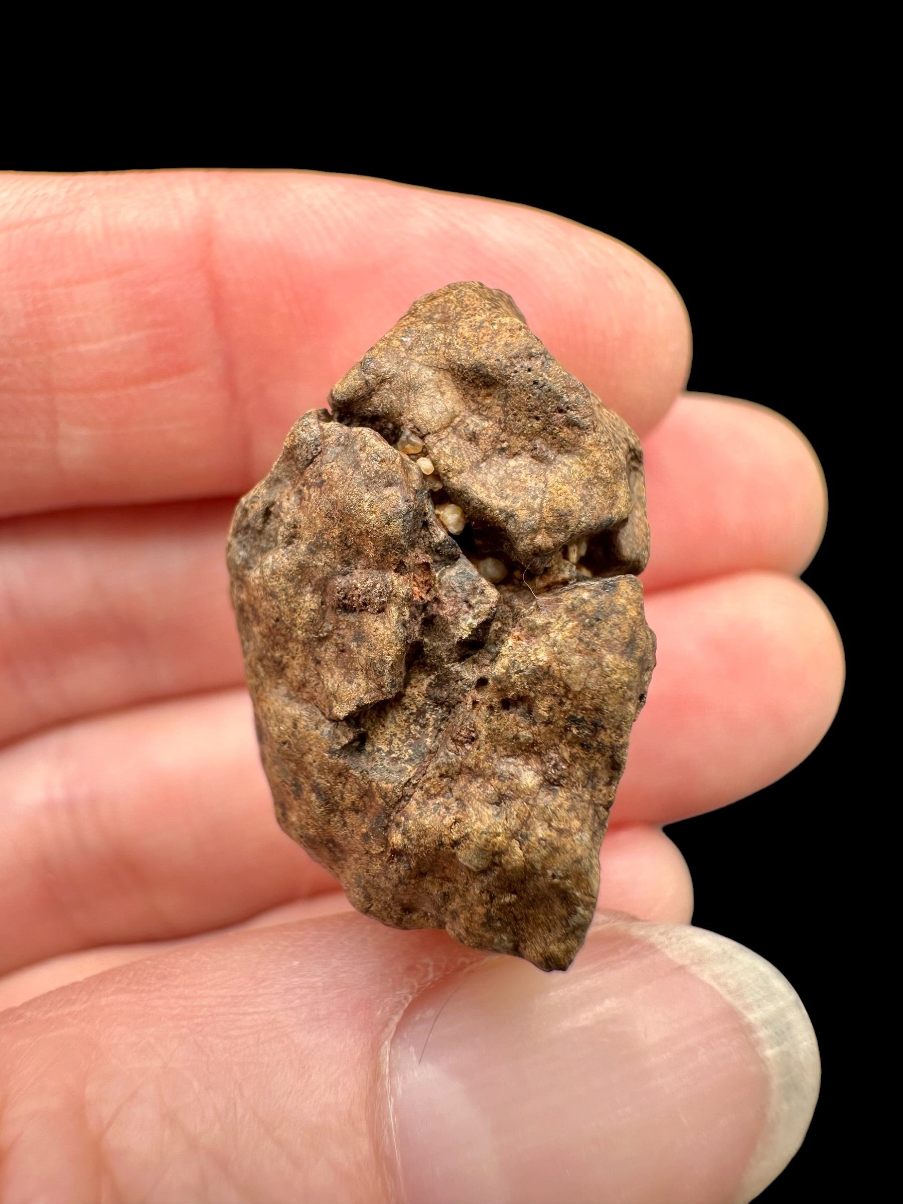 Meteorite NWA X – 13,7g – Northwest Africa - MENX54
