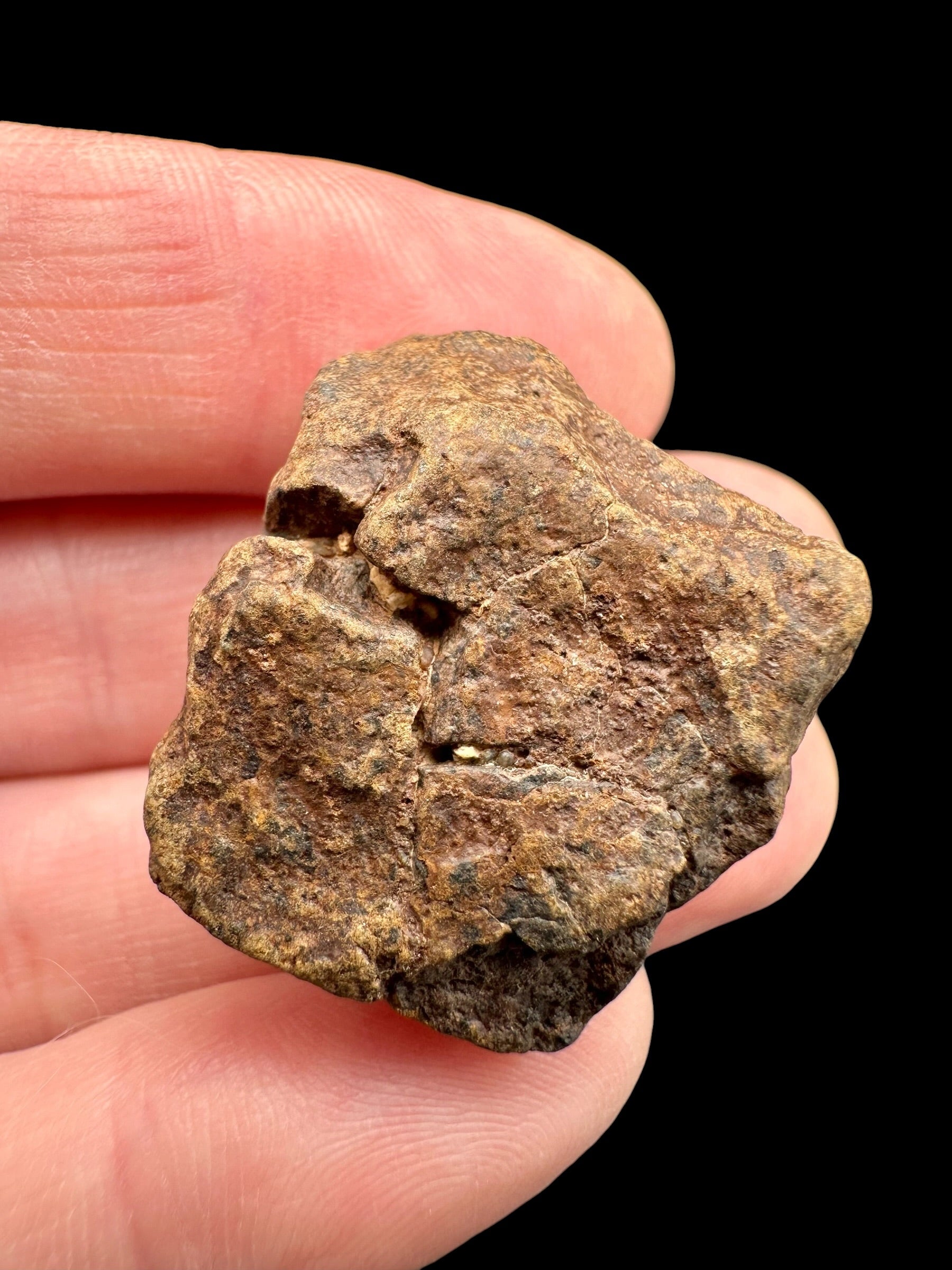 Meteorite NWA X – 13,7g – Northwest Africa