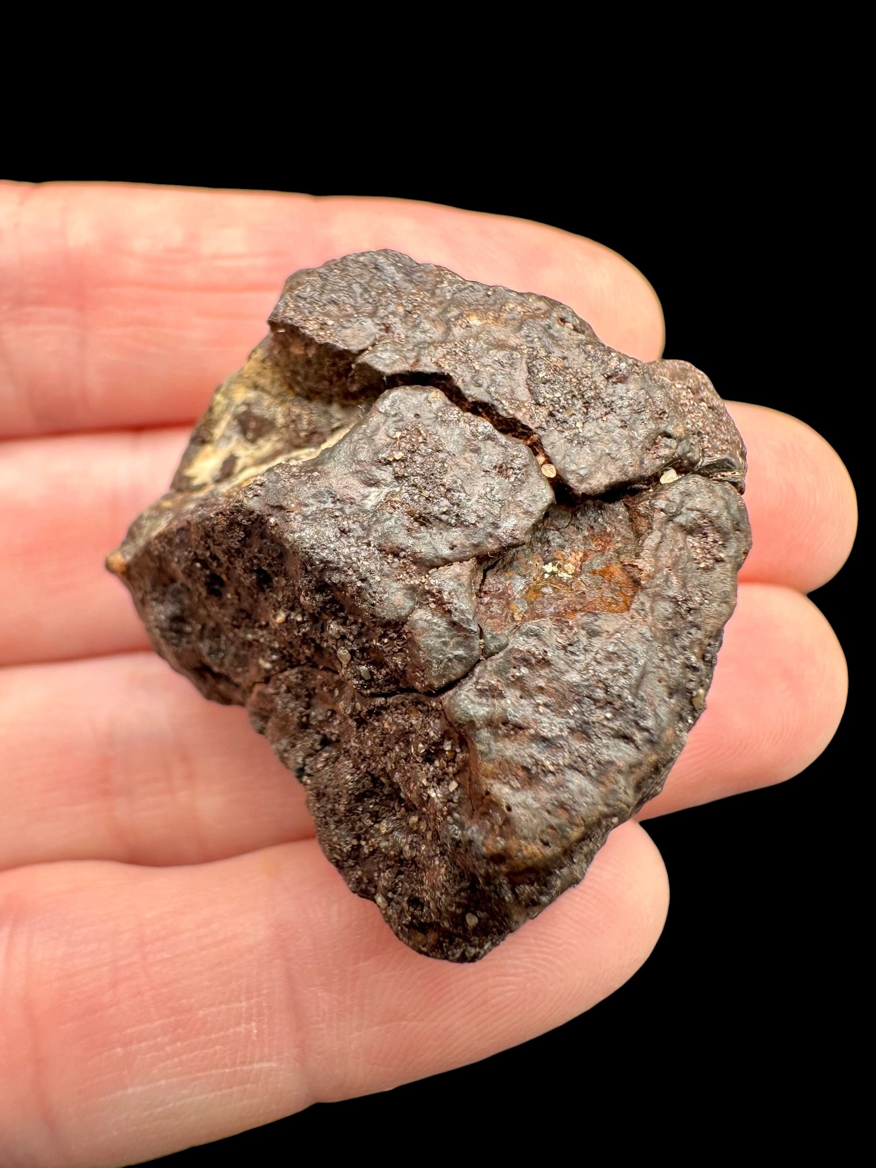 Meteorite NWA X – 32,6g – Northwest Africa - MENX55