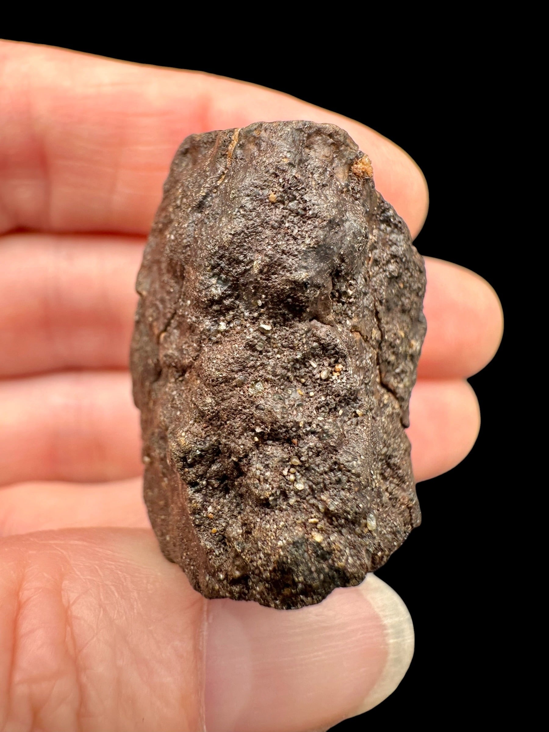 Meteorite NWA X – 32,6g – Northwest Africa - MENX55