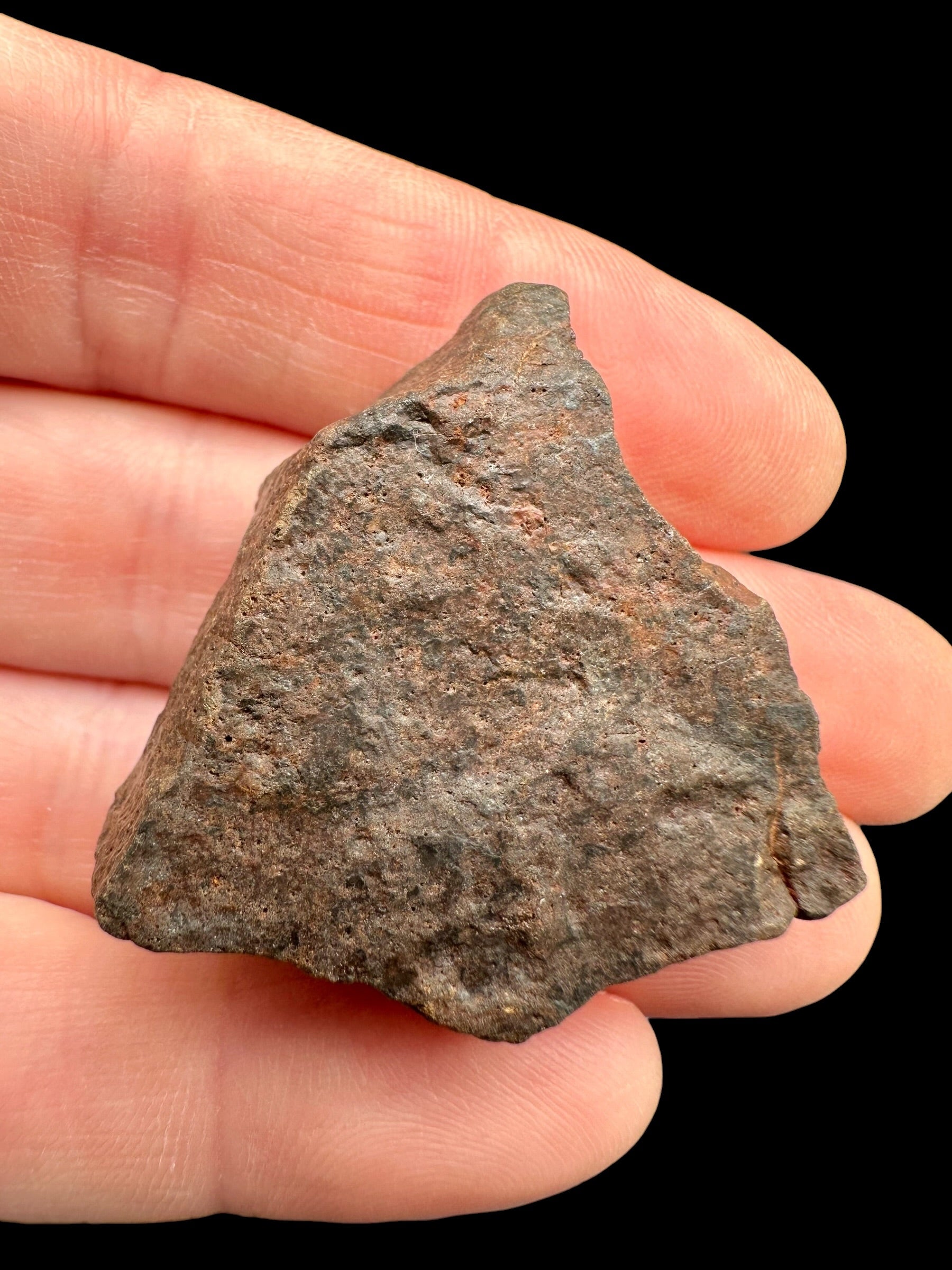 Meteorite NWA X – 19,7g – Northwest Africa - MENX56