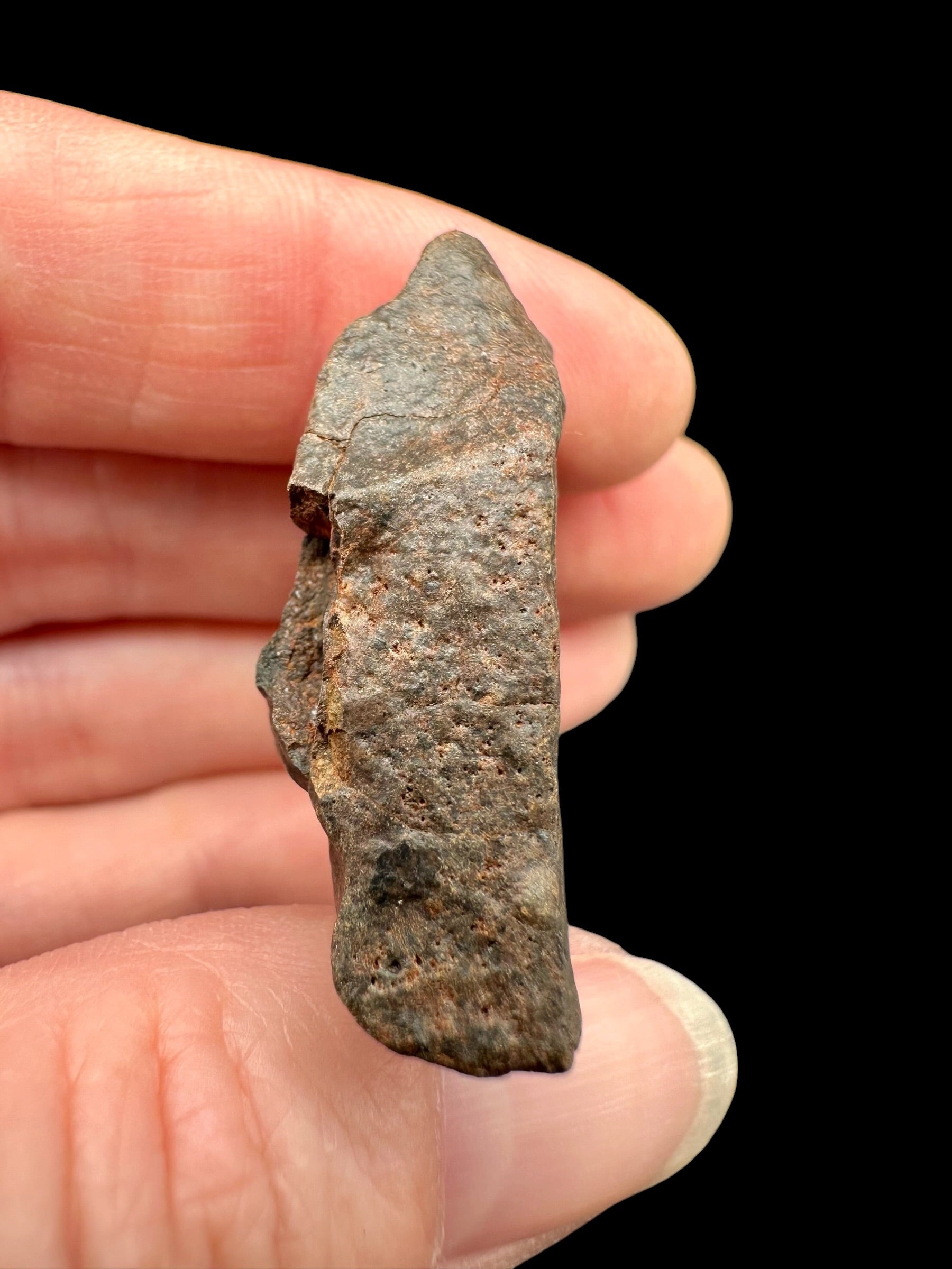 Meteorite NWA X – 19,7g – Northwest Africa - MENX56