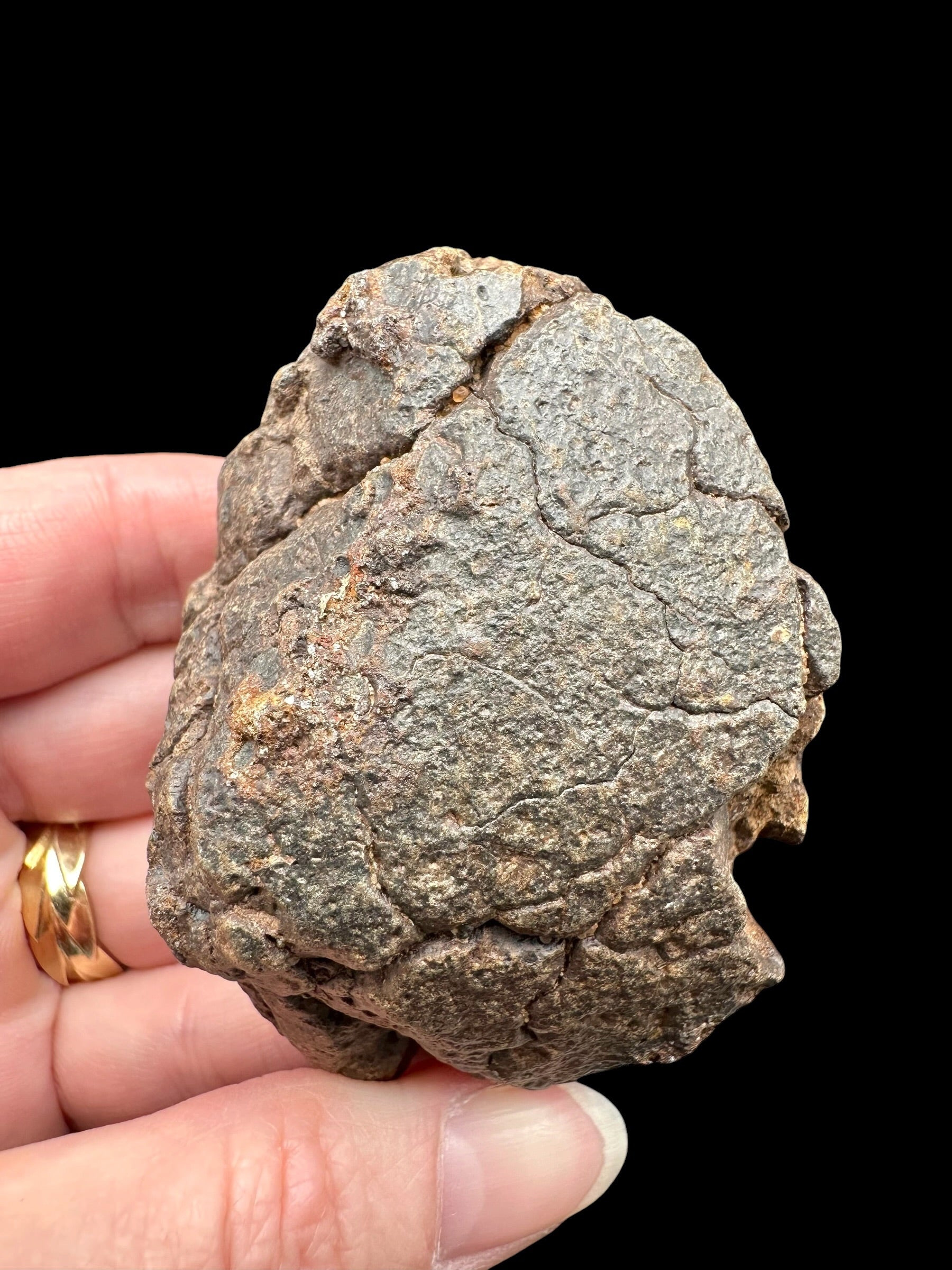 Meteorite NWA X – 145,5g – Northwest Africa - MENX59
