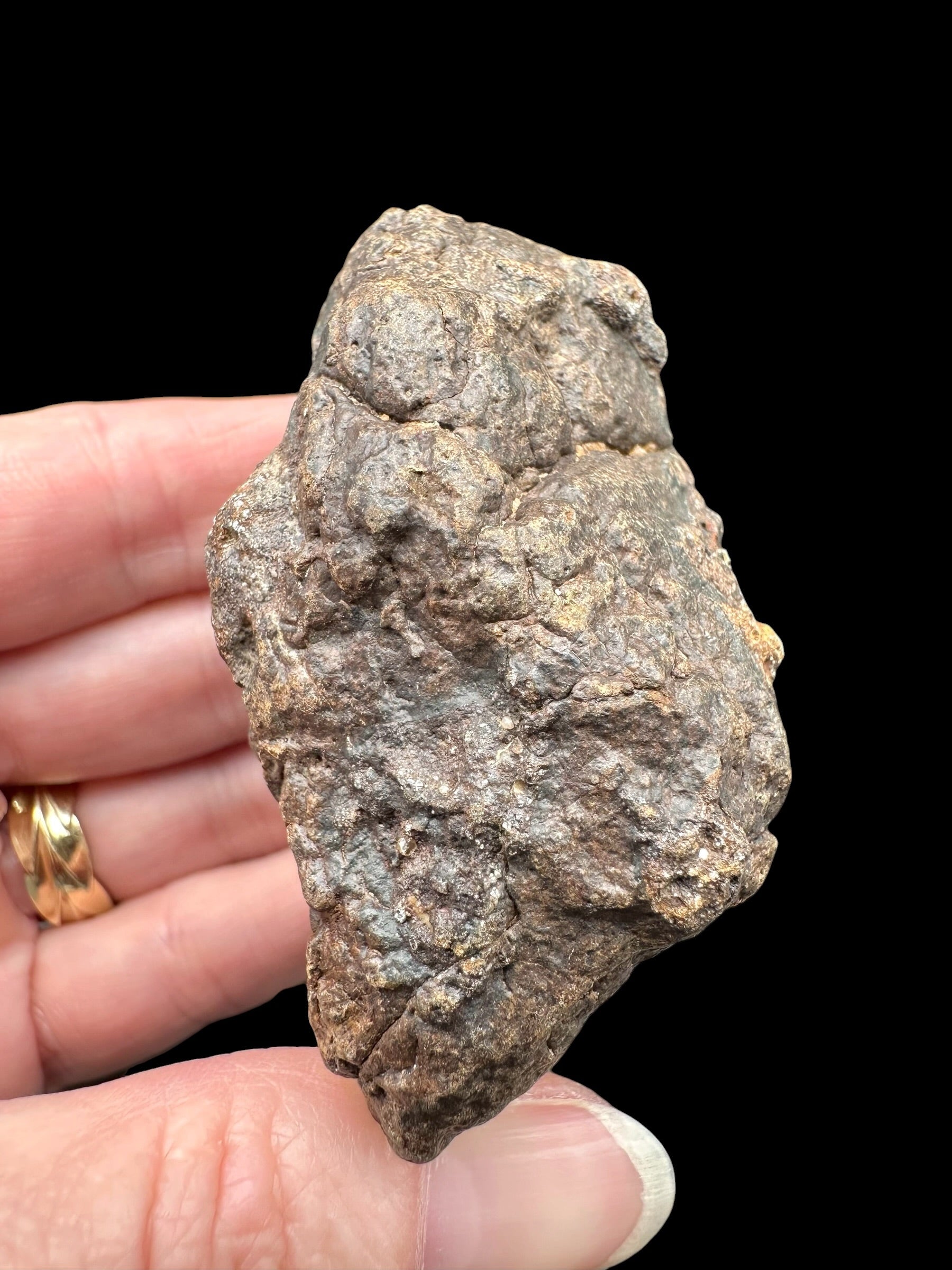 Meteorite NWA X – 145,5g – Northwest Africa - MENX59