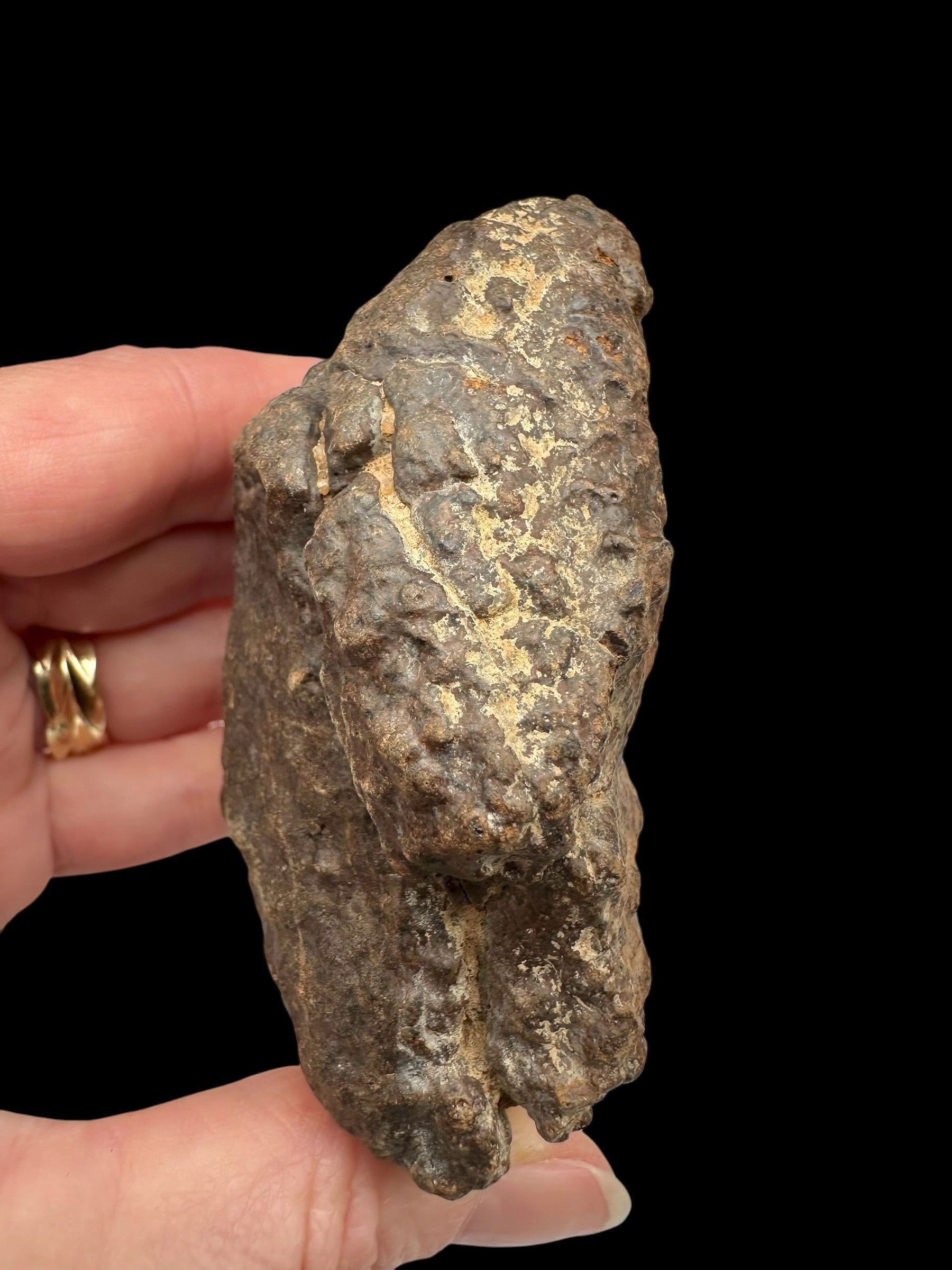 Meteorite NWA X – 262,5g – Northwest Africa - MENX61