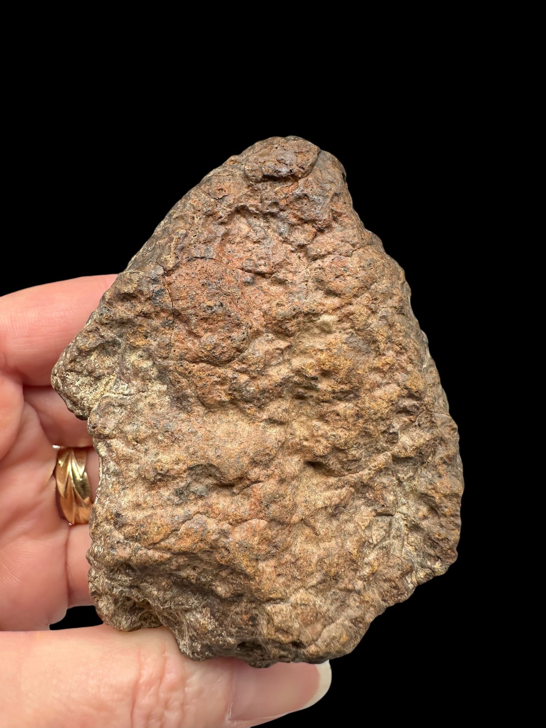 Meteorite NWA X – 262,5g – Northwest Africa