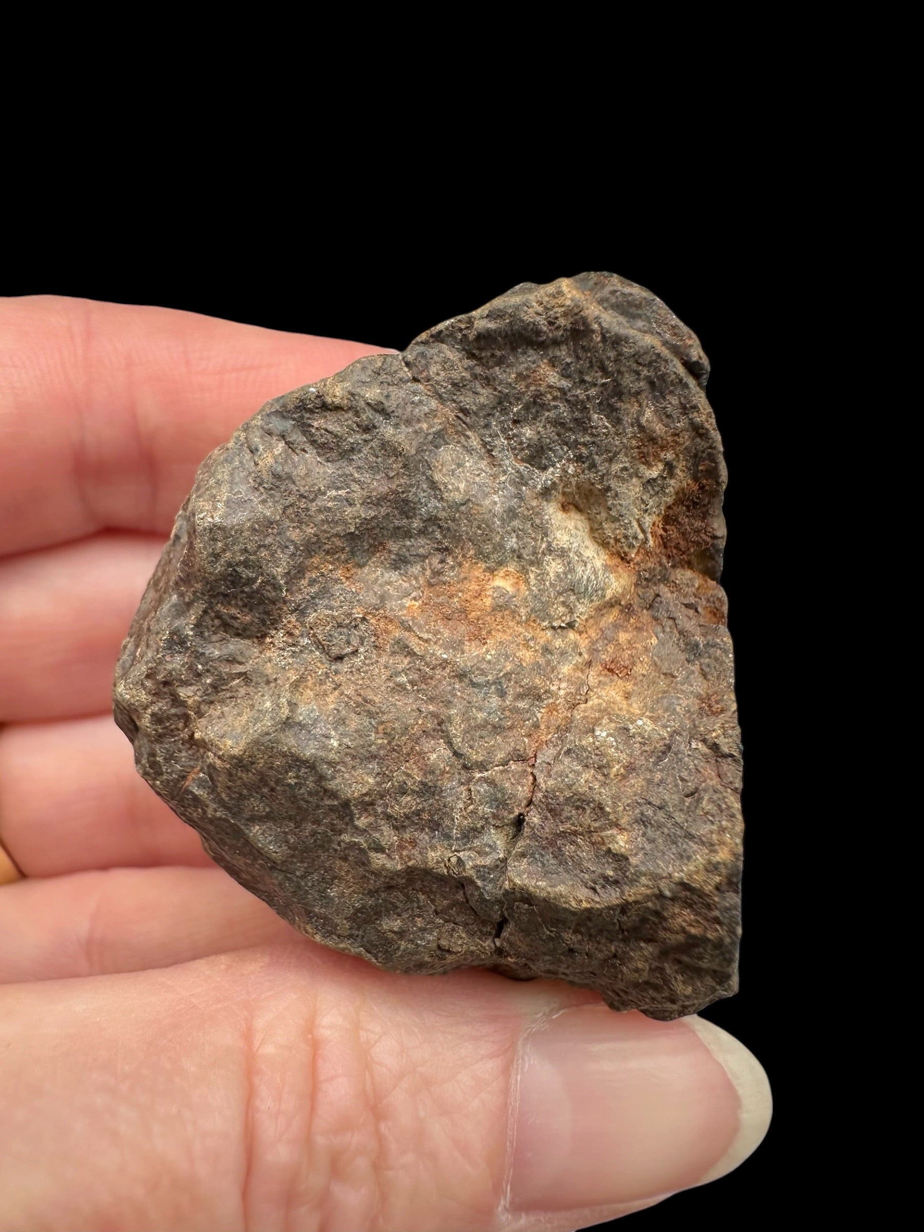 Meteorite NWA X – 73,5g – Northwest Africa - MENX63