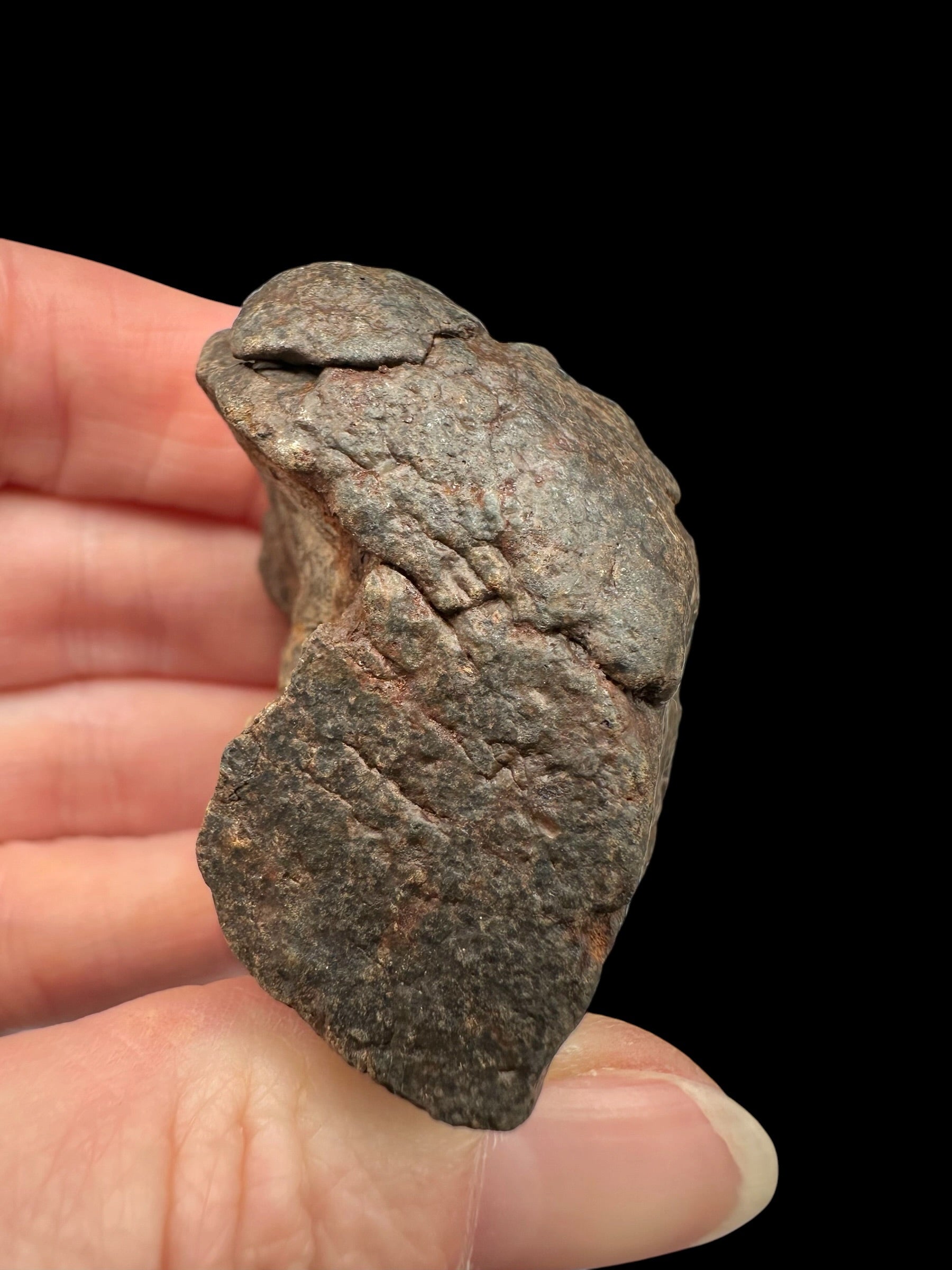 Meteorite NWA X – 73,5g – Northwest Africa - MENX63