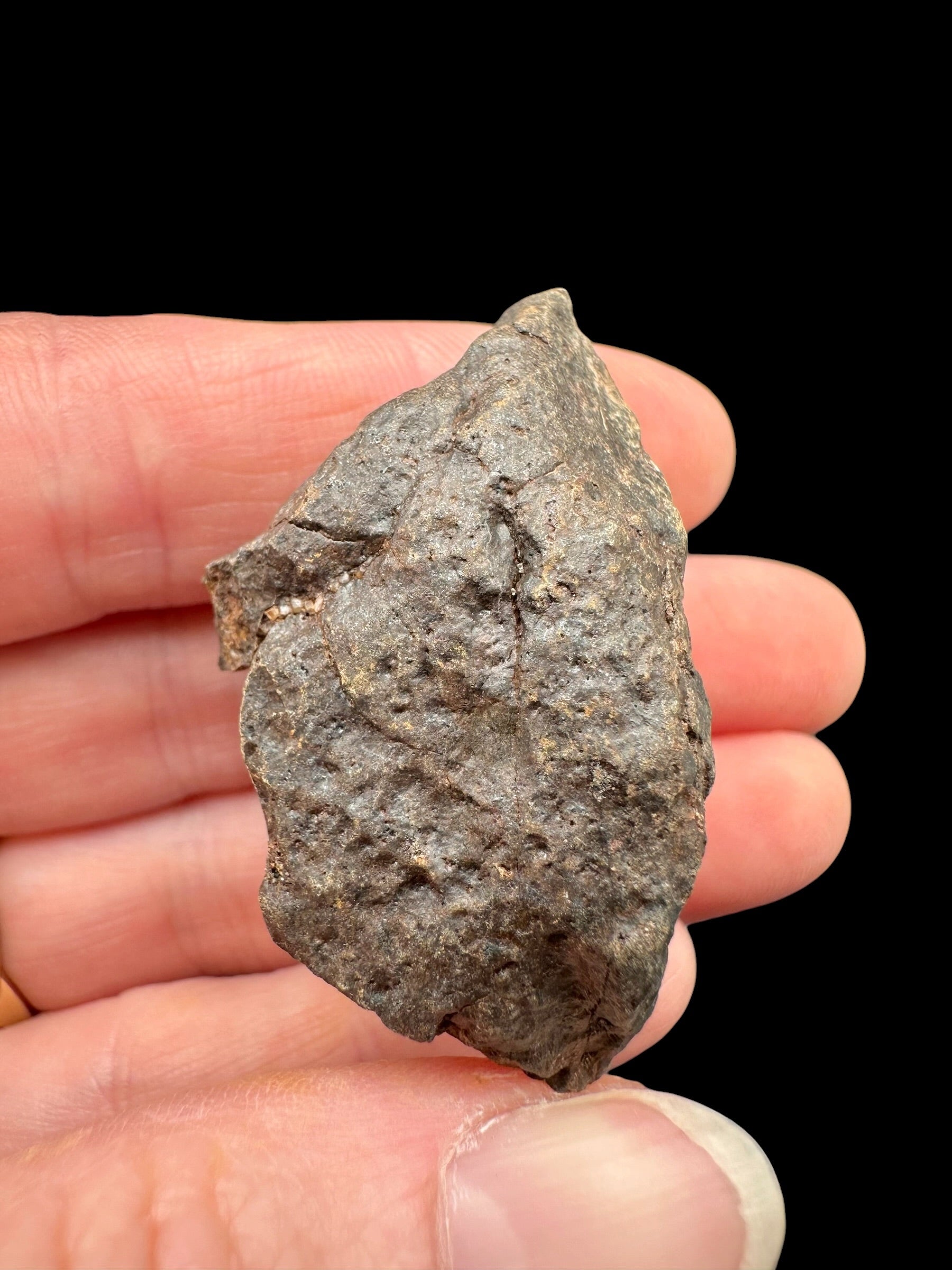 Meteorite NWA X – 28,5g – Northwest Africa - MENX65