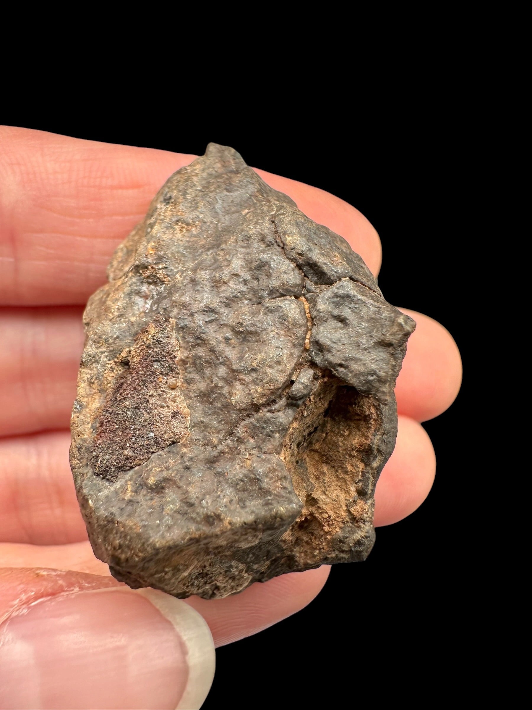 Meteorite NWA X – 28,5g – Northwest Africa - MENX65