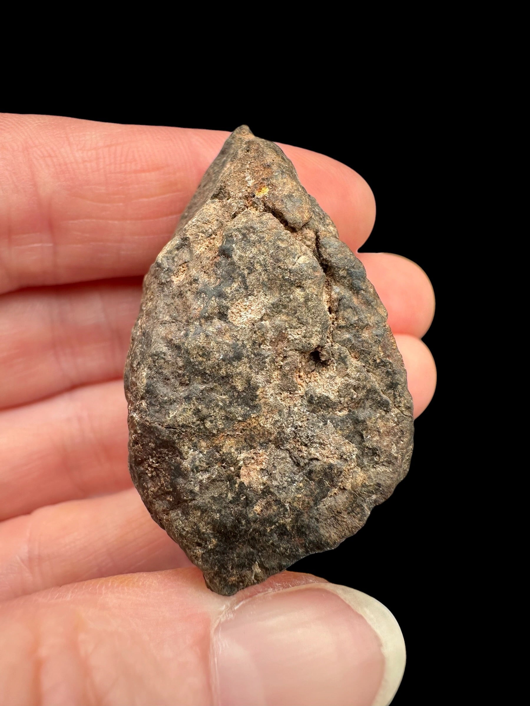 Meteorite NWA X – 28,5g – Northwest Africa