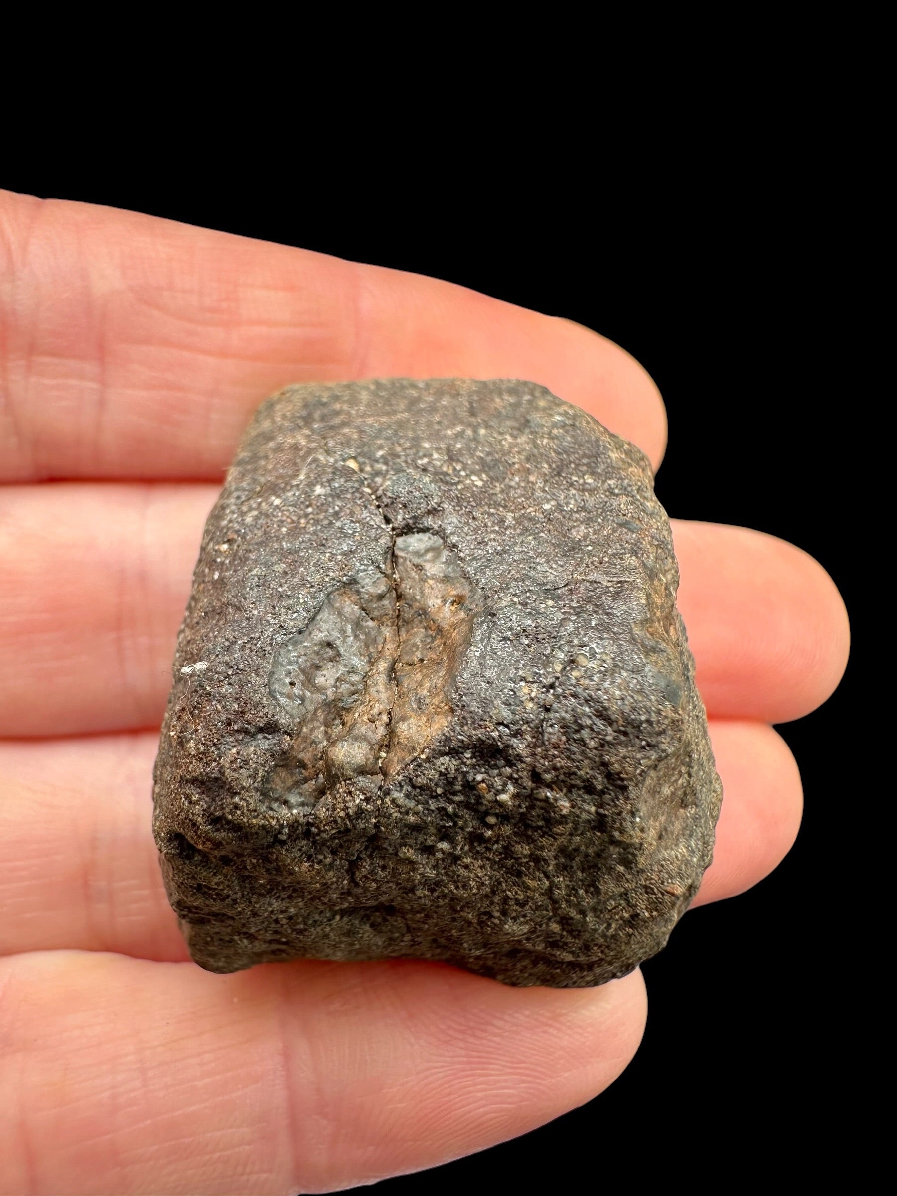 Meteorite NWA X – 34,3g – Northwest Africa - MENX66