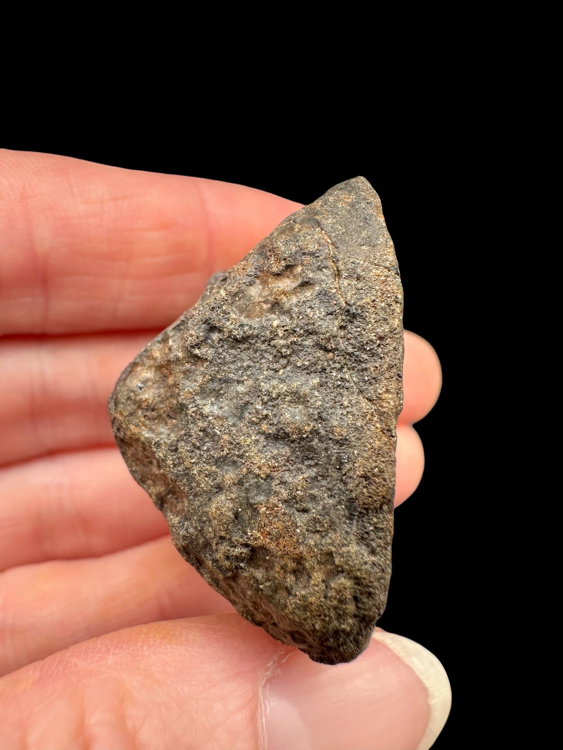 Meteorite NWA X – 34,3g – Northwest Africa - MENX66