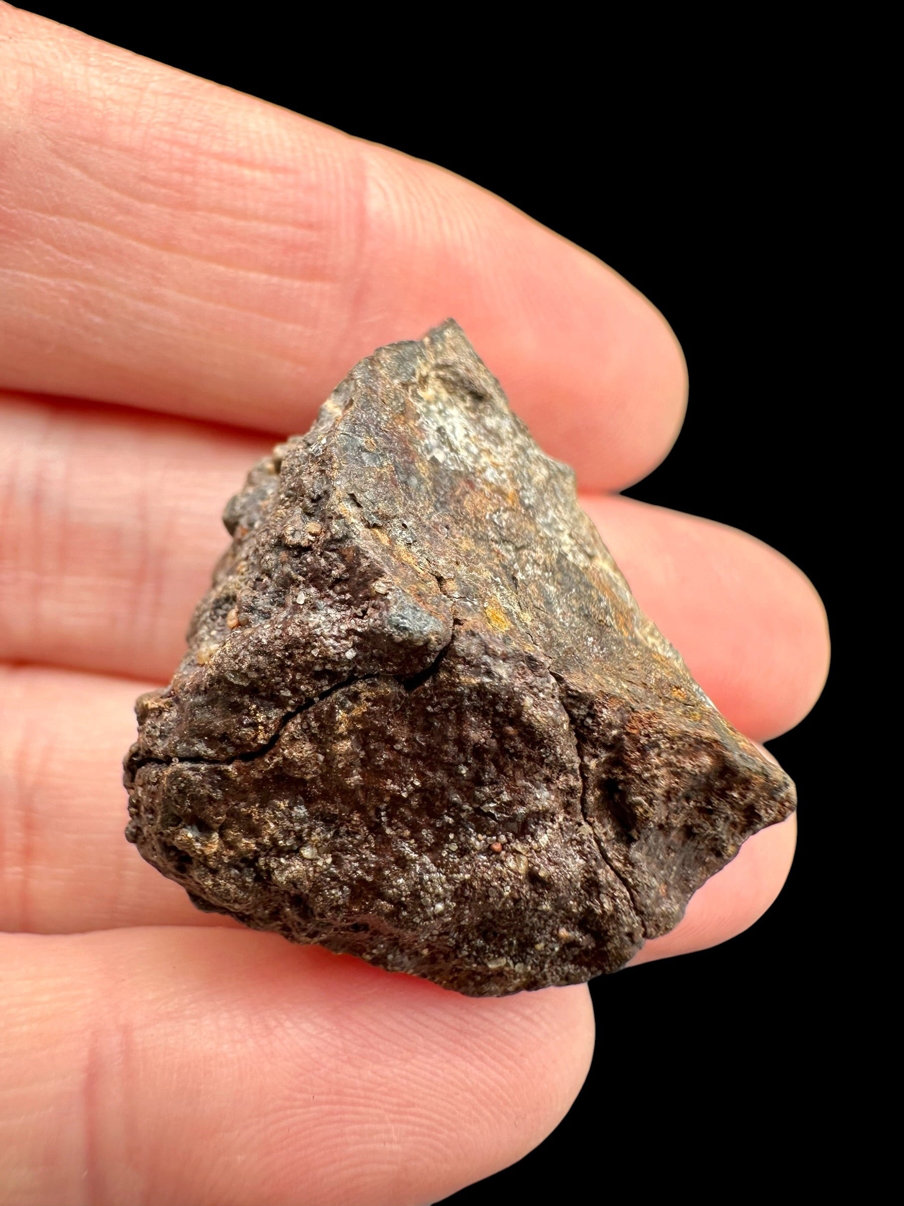 Meteorite NWA X – 14,4g – Northwest Africa - MENX67