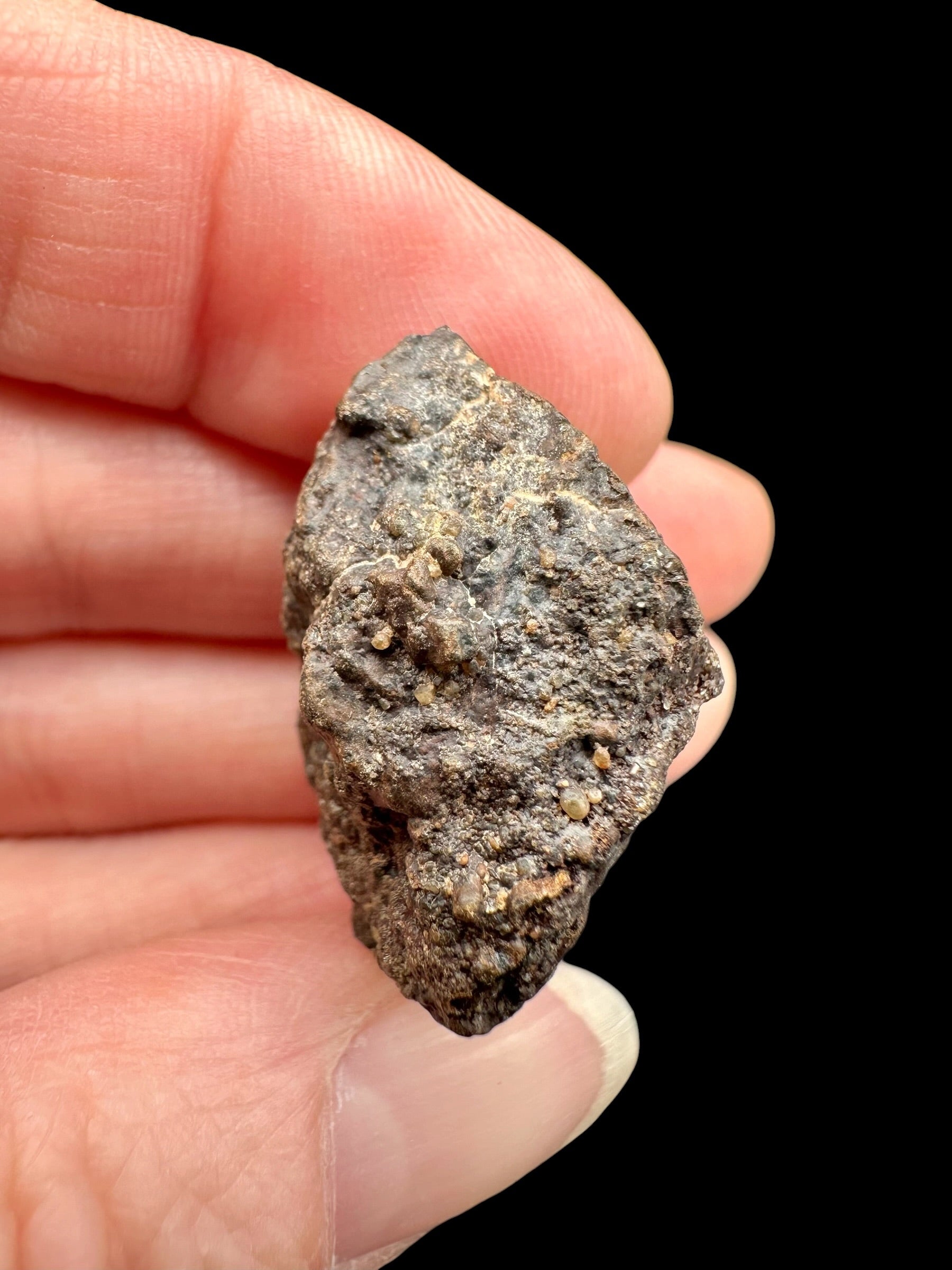 Meteorite NWA X – 14,4g – Northwest Africa - MENX67