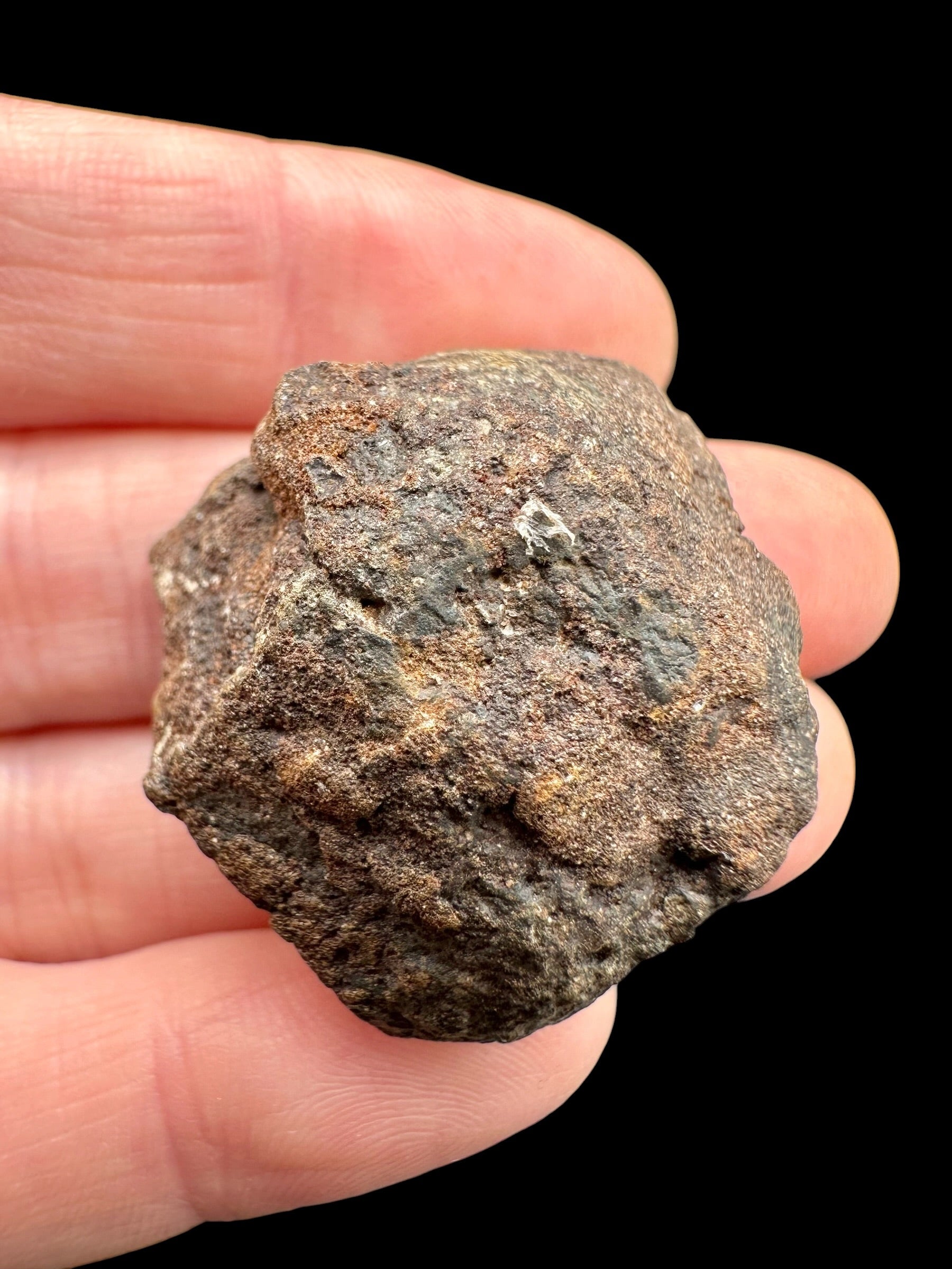 Meteorite NWA X – 19,9g – Northwest Africa - MENX71