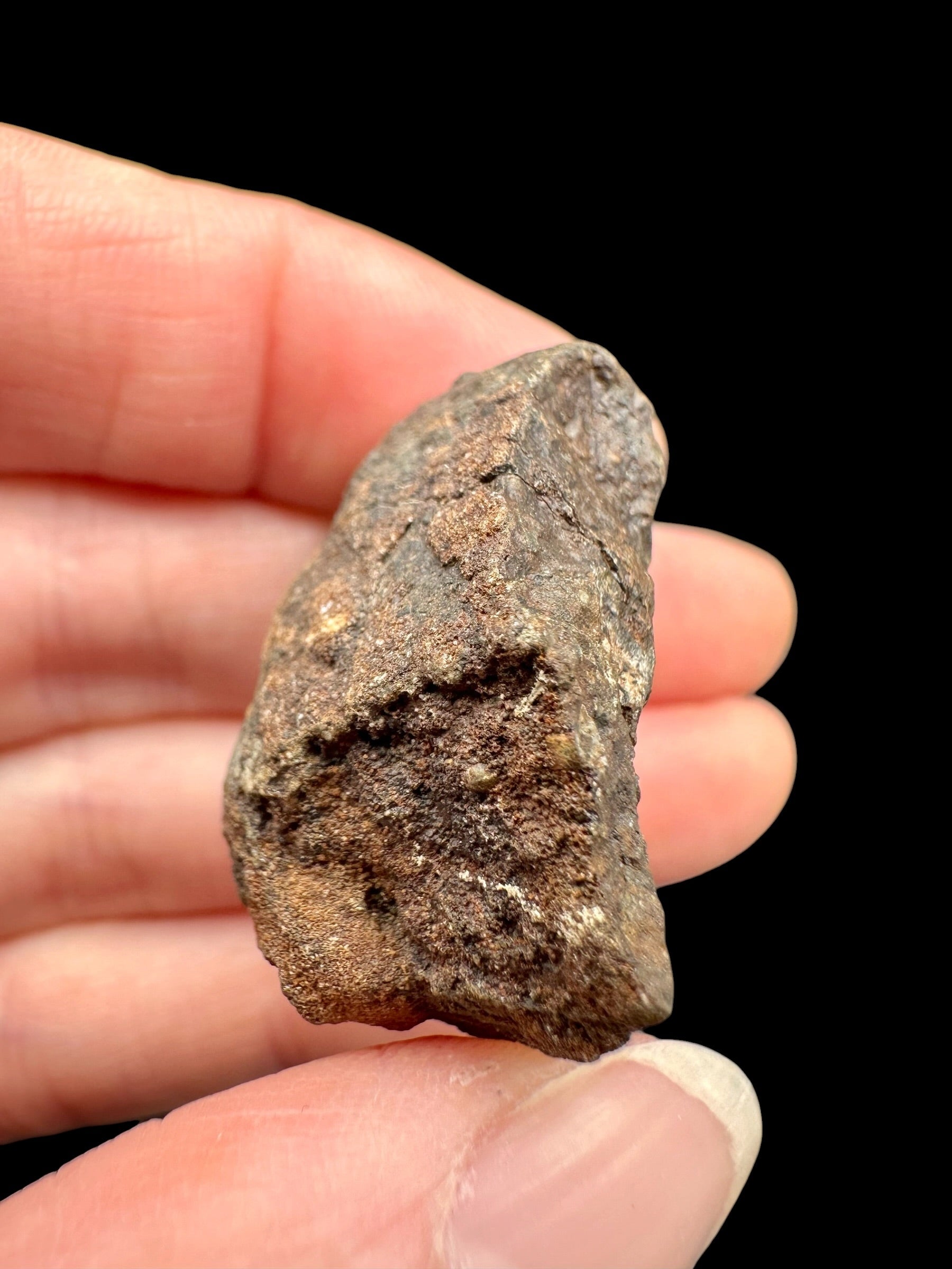 Meteorite NWA X – 19,9g – Northwest Africa - MENX71