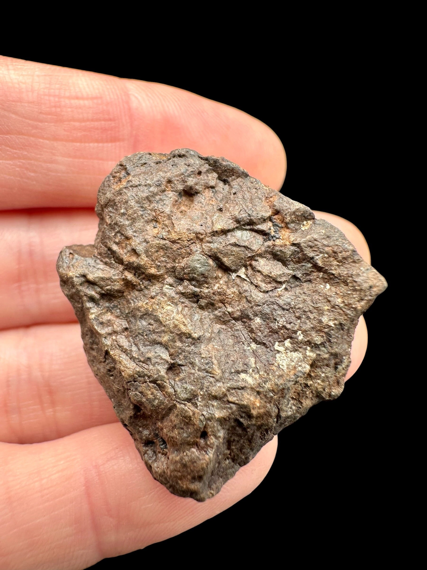 Meteorite NWA X – 19,9g – Northwest Africa