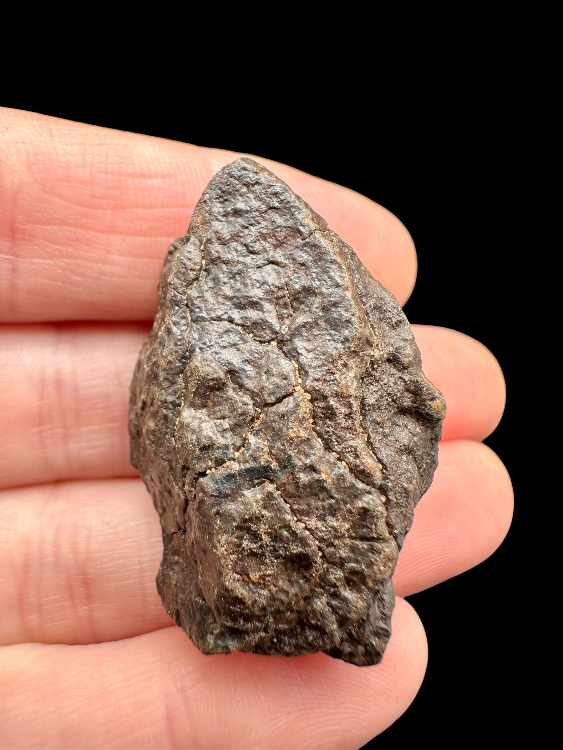 Meteorite NWA X – 18,5g – Northwest Africa - MENX72