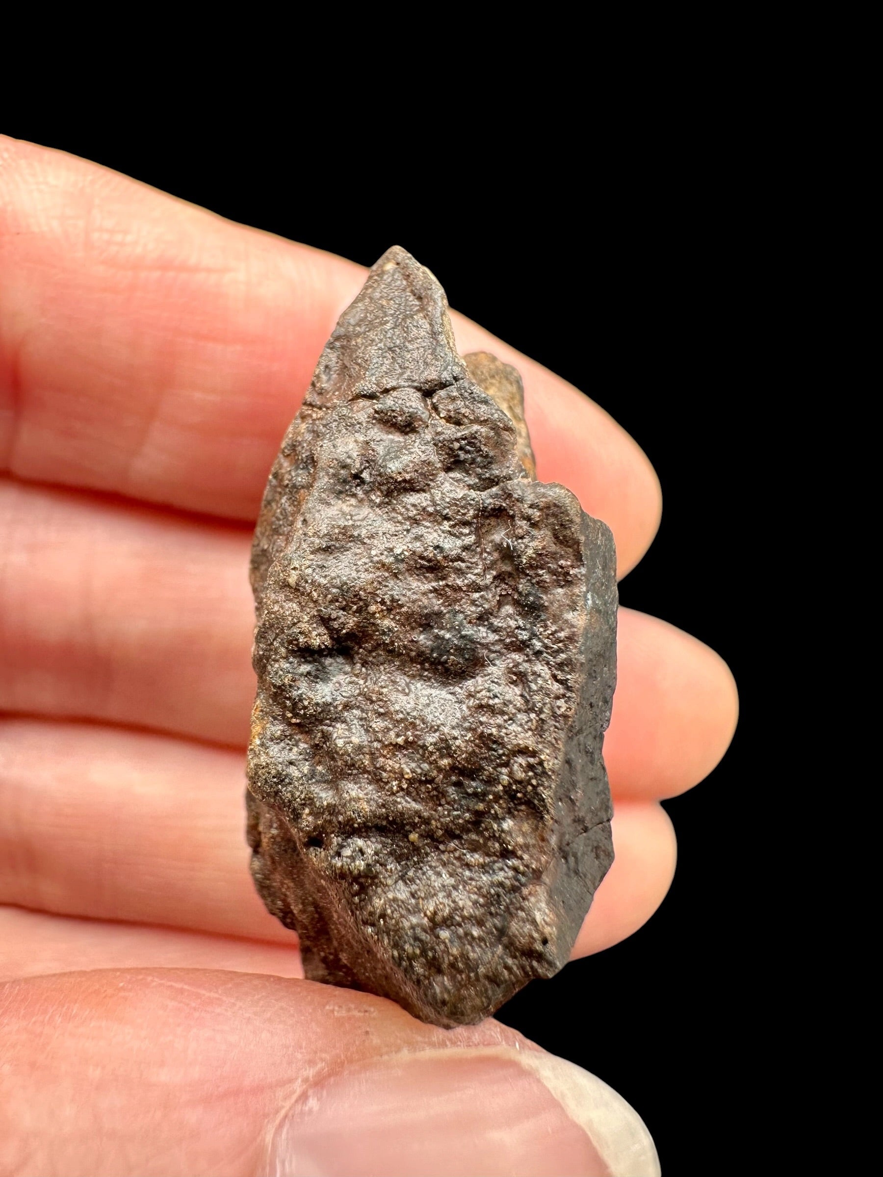 Meteorite NWA X – 18,5g – Northwest Africa - MENX72
