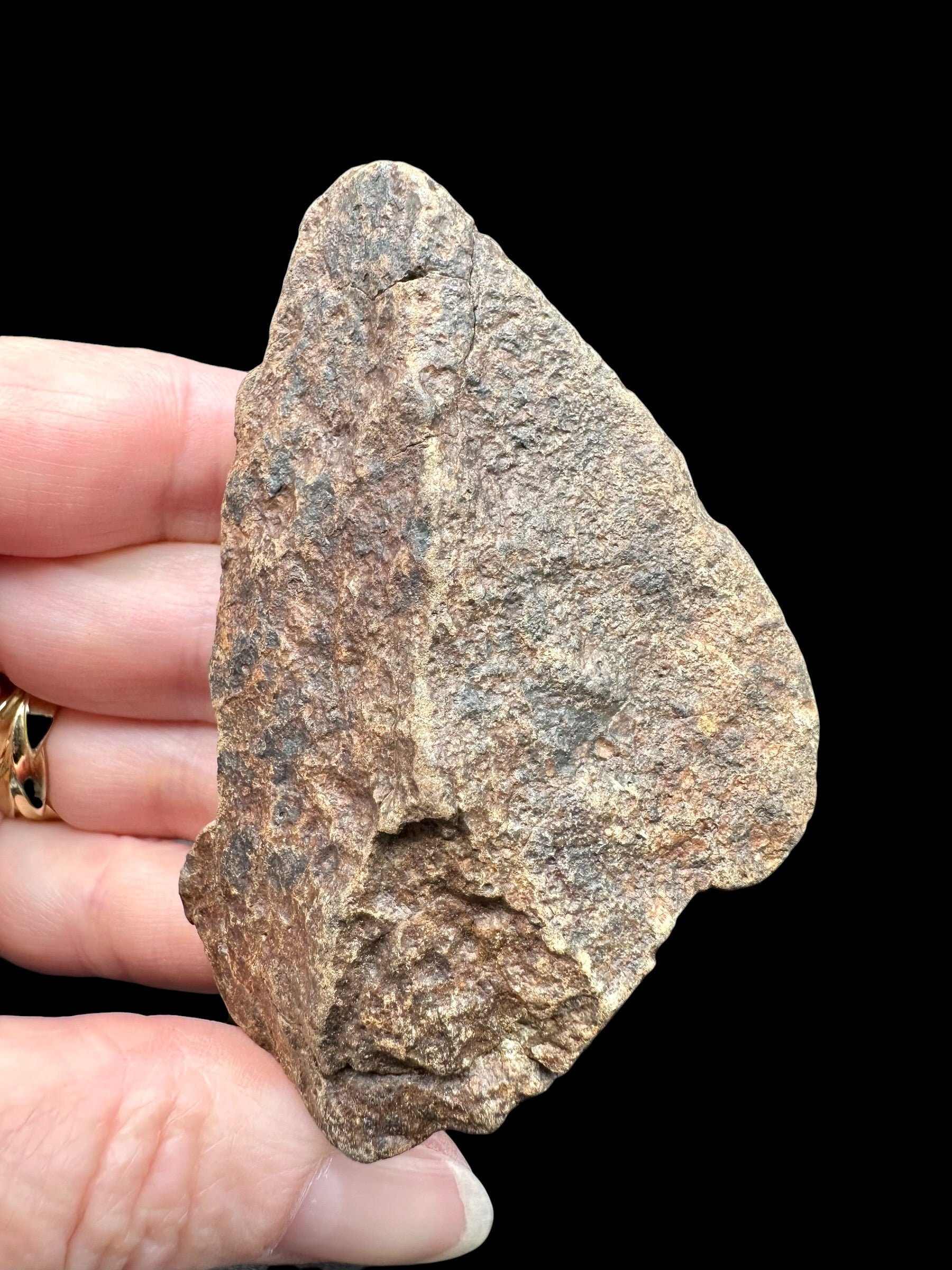 Meteorite NWA X – 96g – Northwest Africa - MENX75