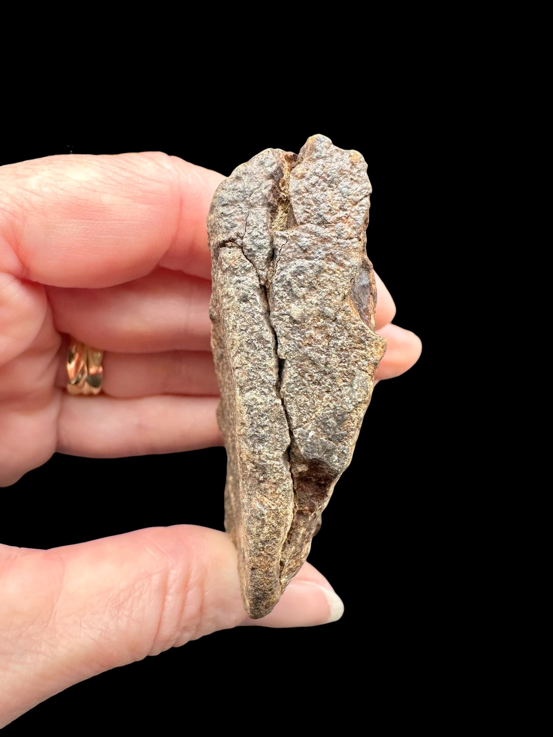Meteorite NWA X – 96g – Northwest Africa - MENX75