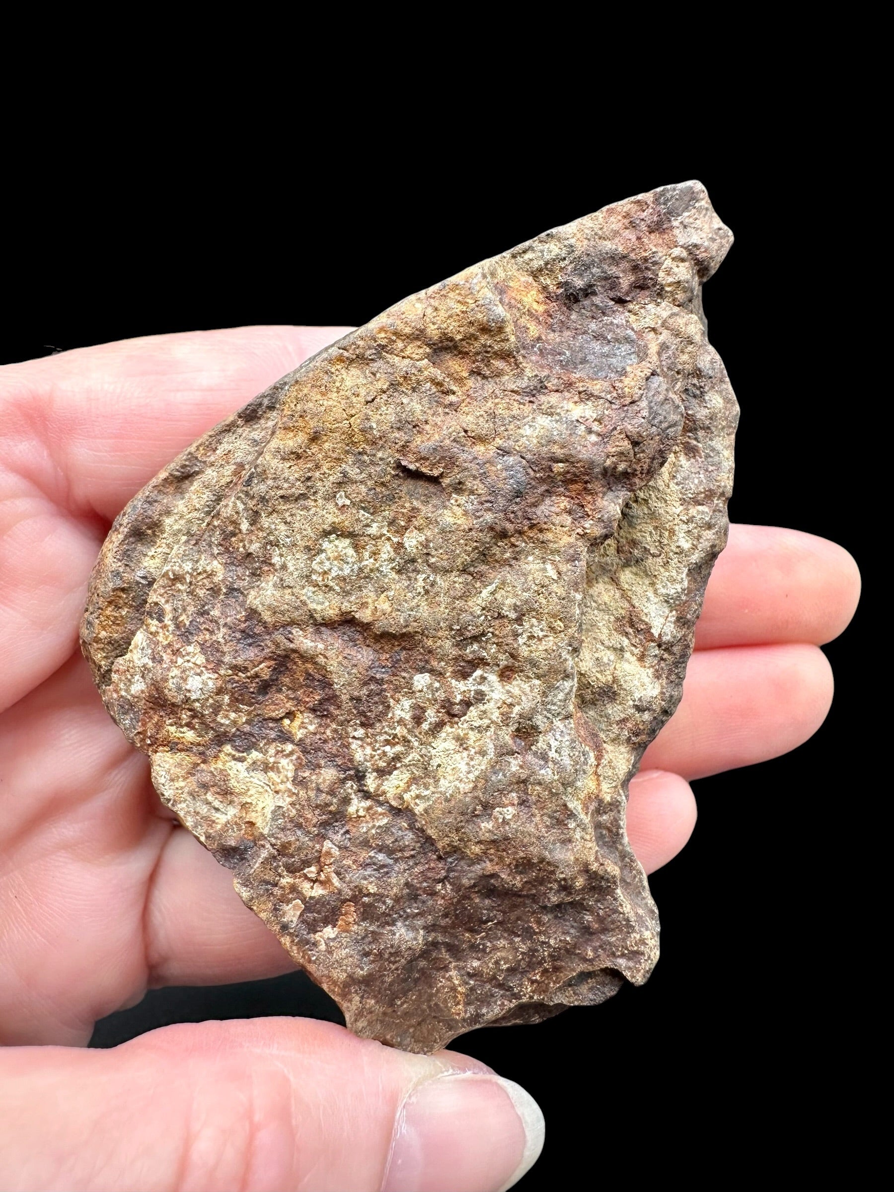 Meteorite NWA X – 96g – Northwest Africa