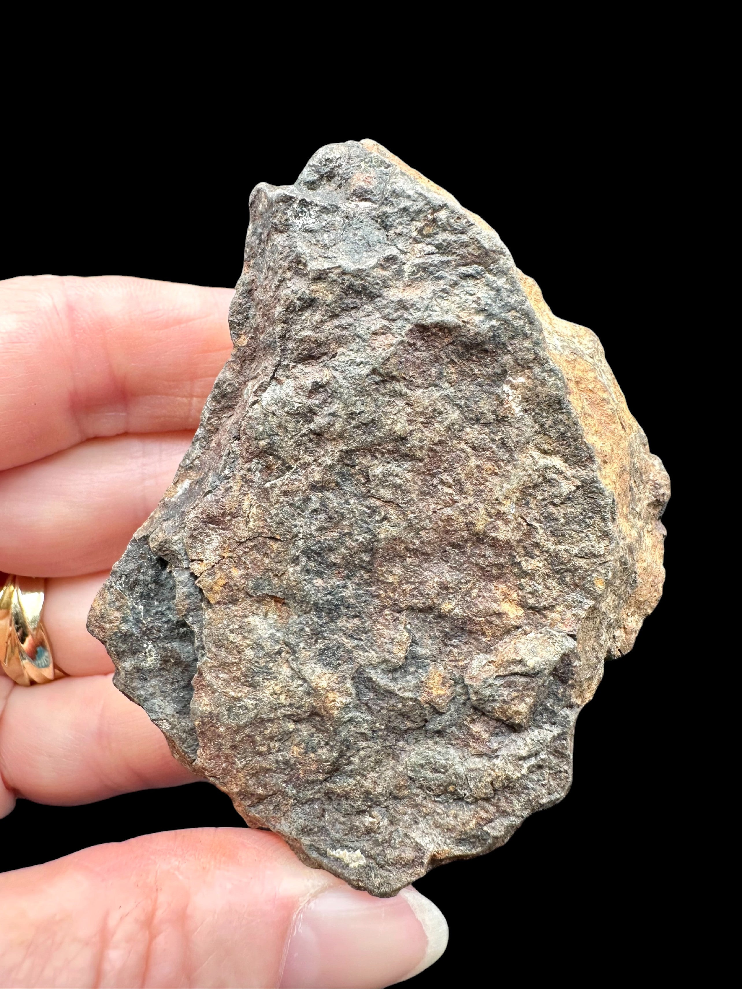 Meteorite NWA X – 94,3g – Northwest Africa - MENX77