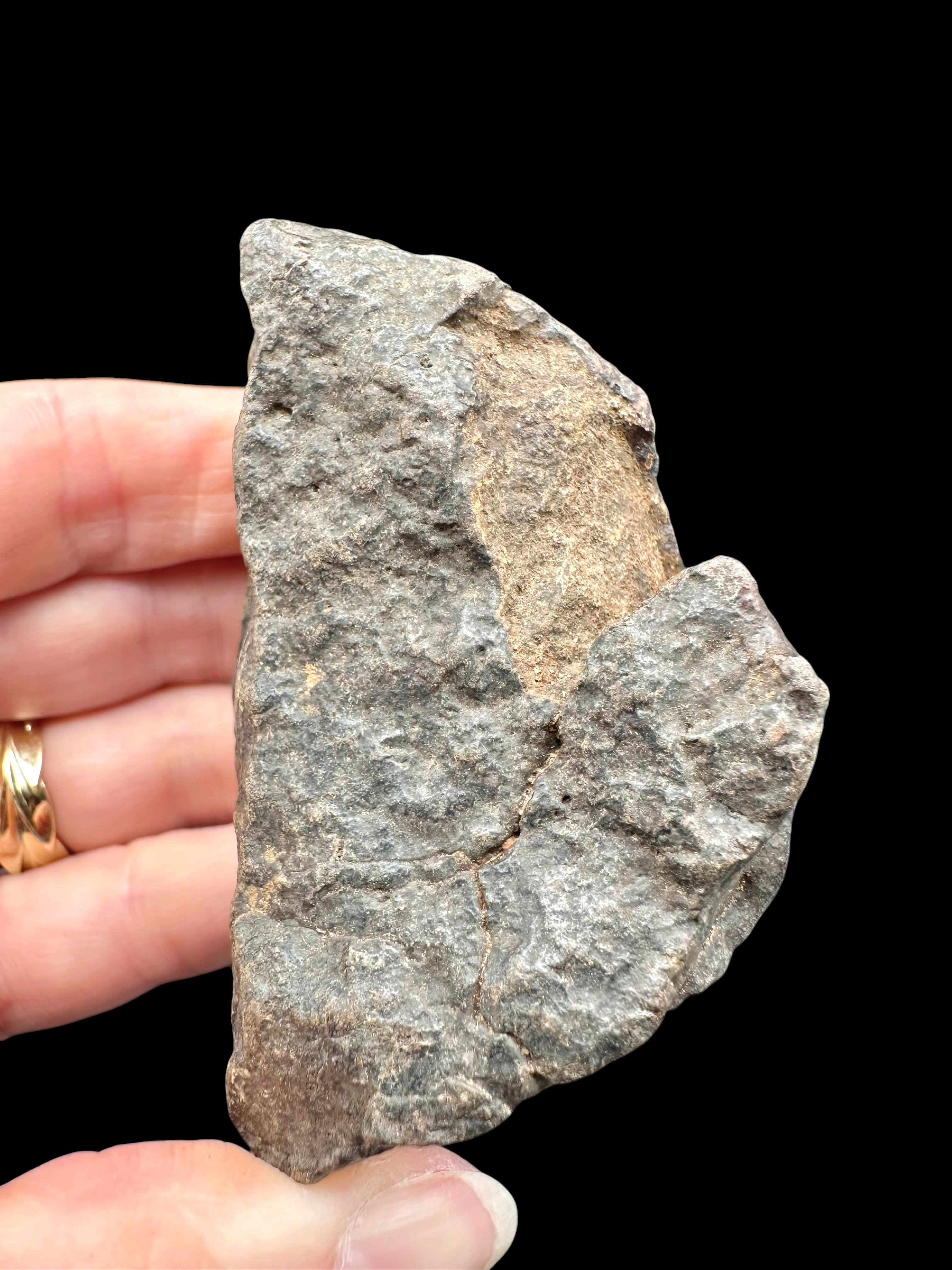 Meteorite NWA X – 168,6g – Northwest Africa - MENX78