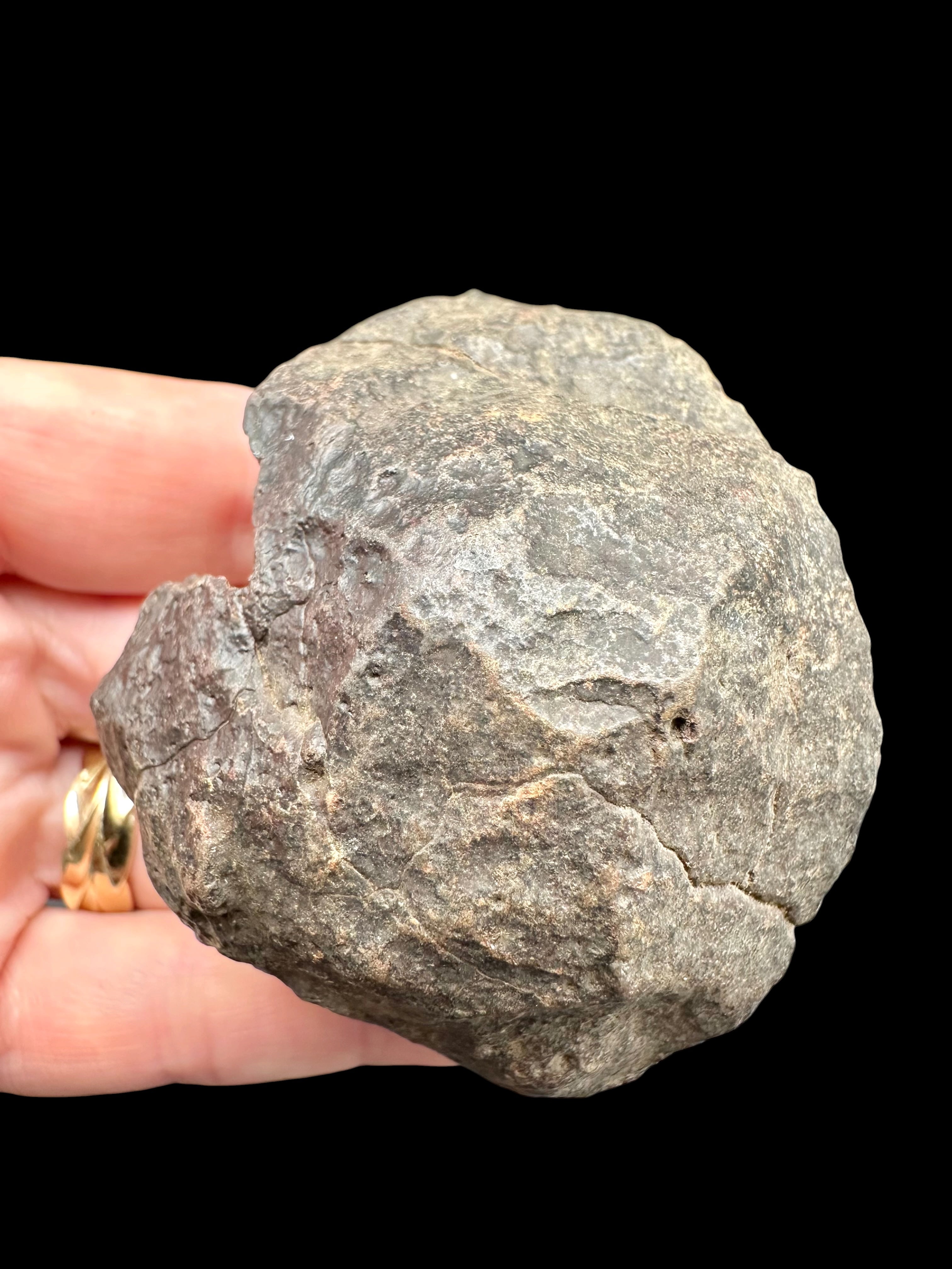 Meteorite NWA X – 168,6g – Northwest Africa - MENX78