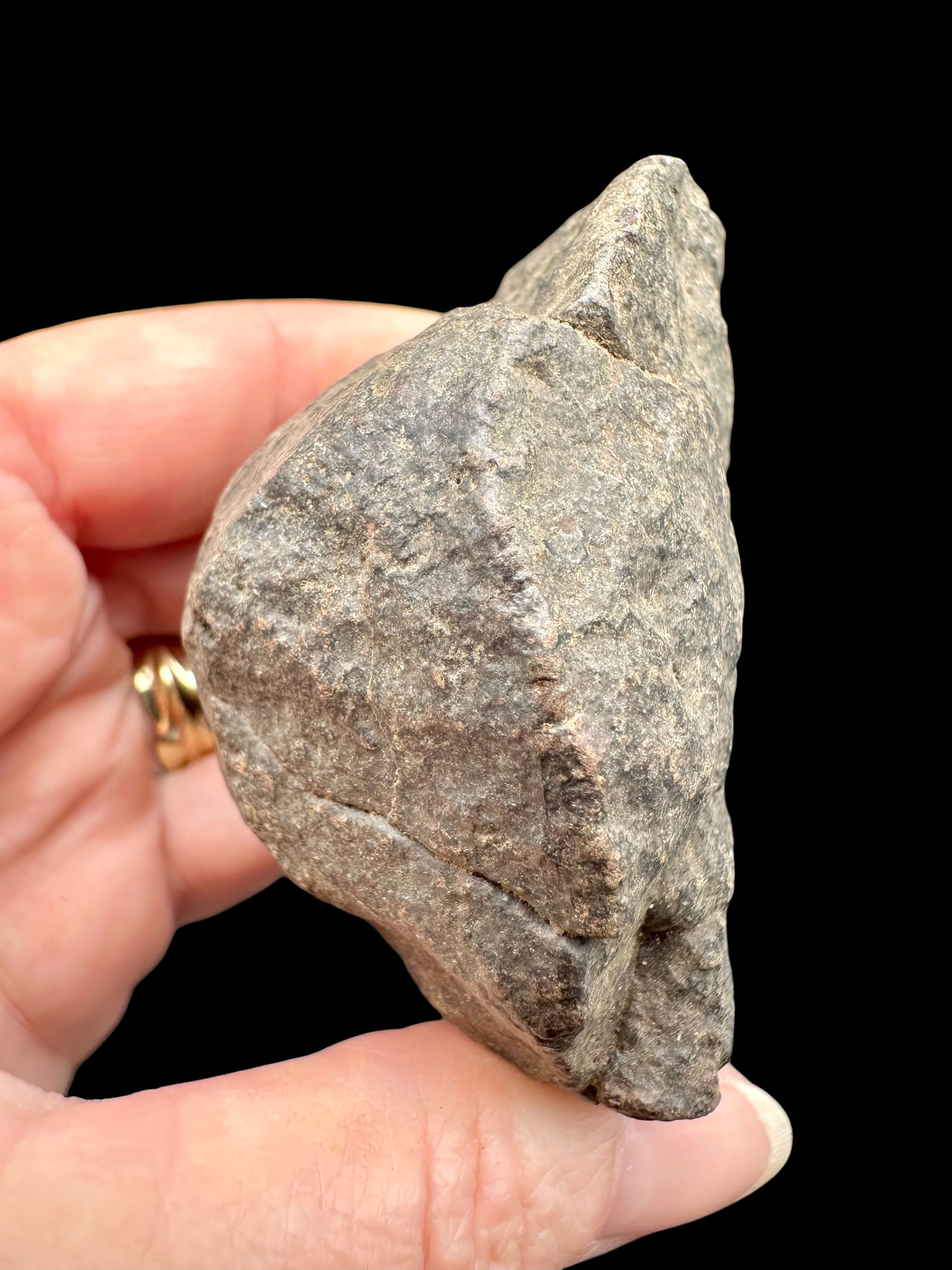 Meteorite NWA X – 168,6g – Northwest Africa - MENX78