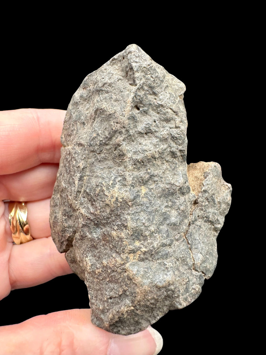 Meteorite NWA X grezzo grigio-bruno con superficie ruvida e chiazze ocra