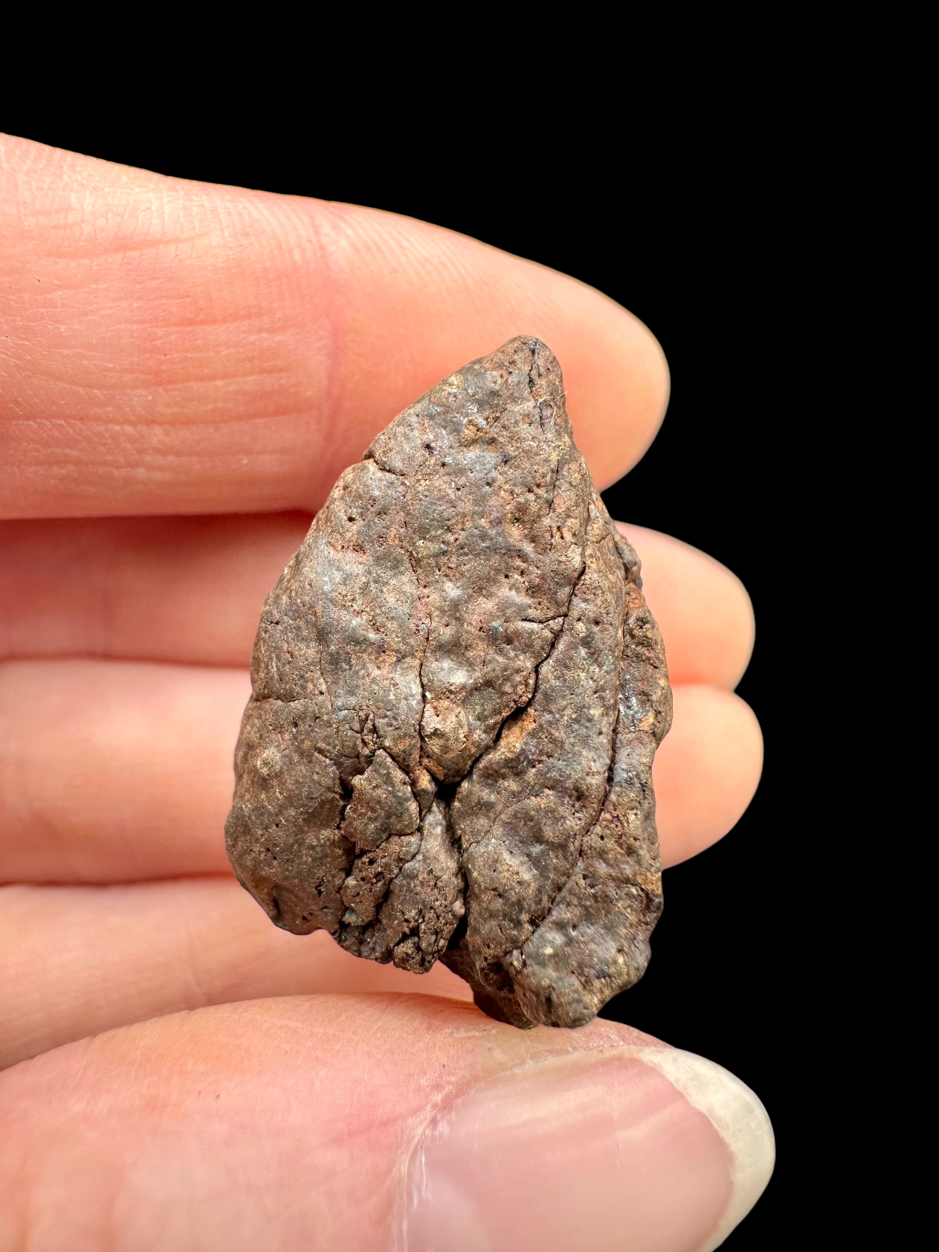 Meteorite NWA X – 14,4g – Northwest Africa - MENX80